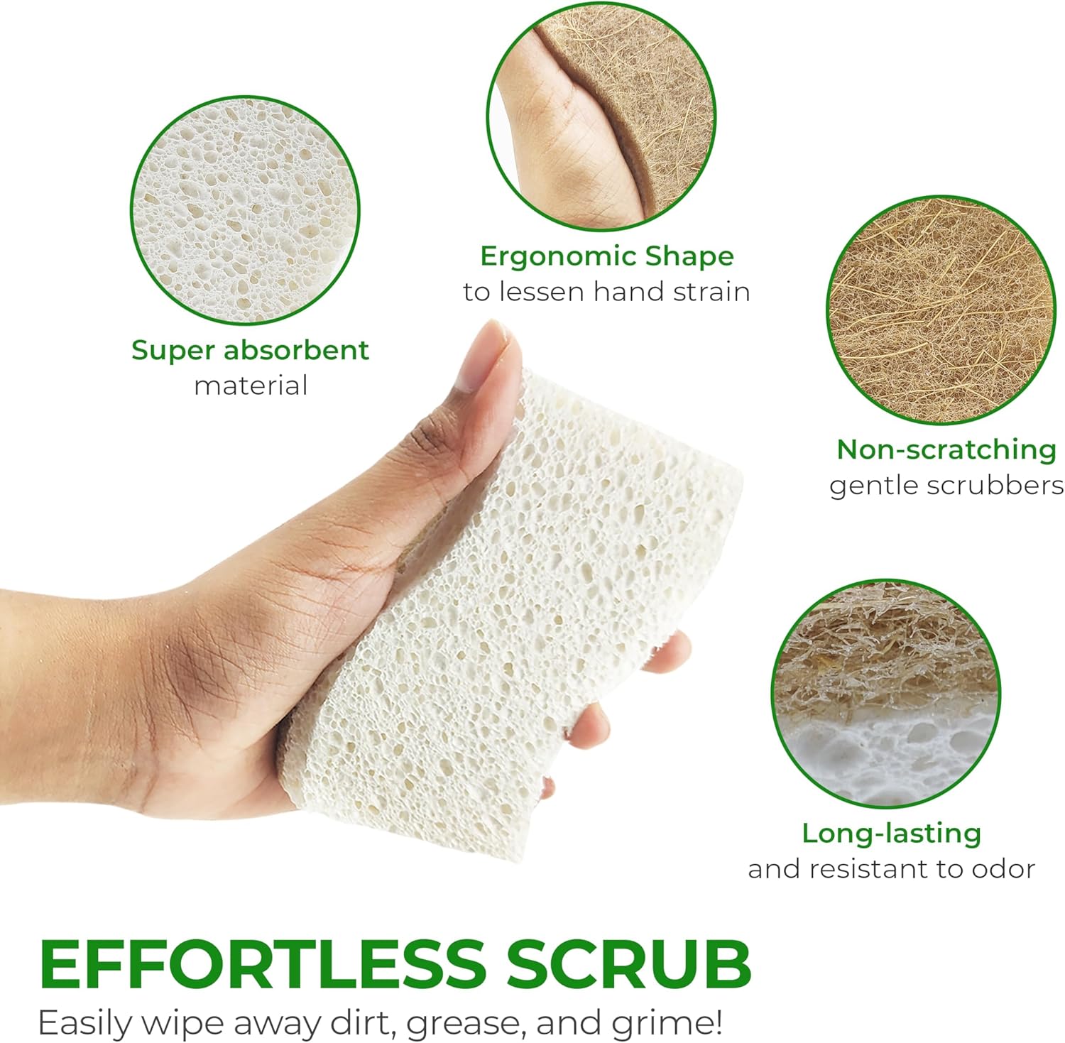 Biodegradable Natural Kitchen Sponge - Compostable Cellulose and Cocon