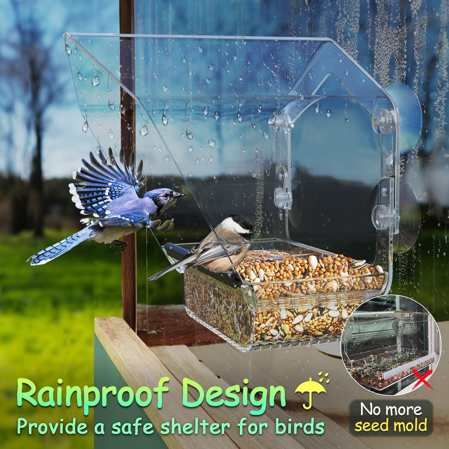 Ermete Window Bird Feeder with Strong Suction Cups, Large View Clear F