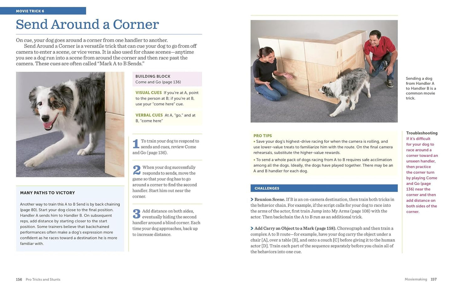 The Big Book of Tricks for the Best Dog Ever: A Step-by-Step Guide to 