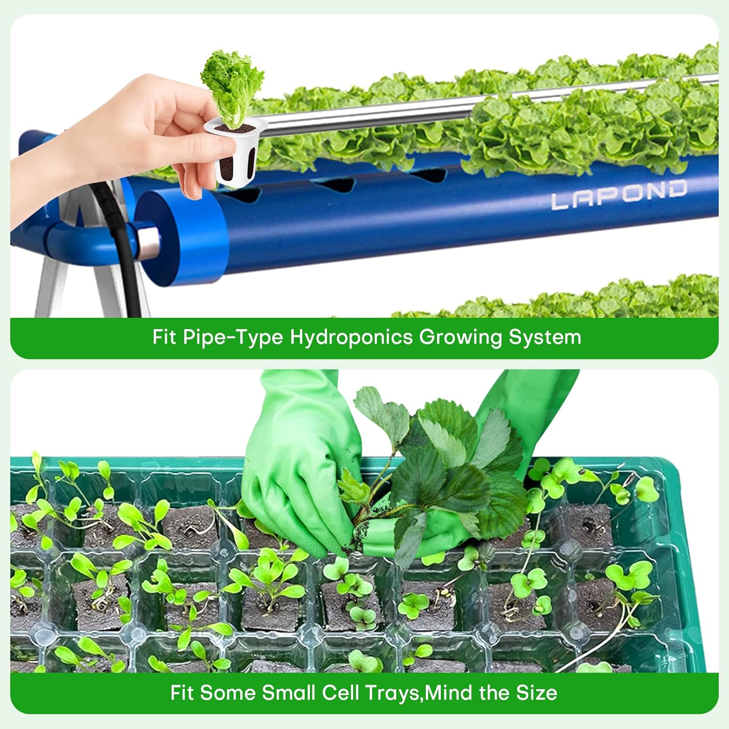 100 Pack Grow Sponges, Replacement Root Growth Sponges Seed Pods,Seed 
