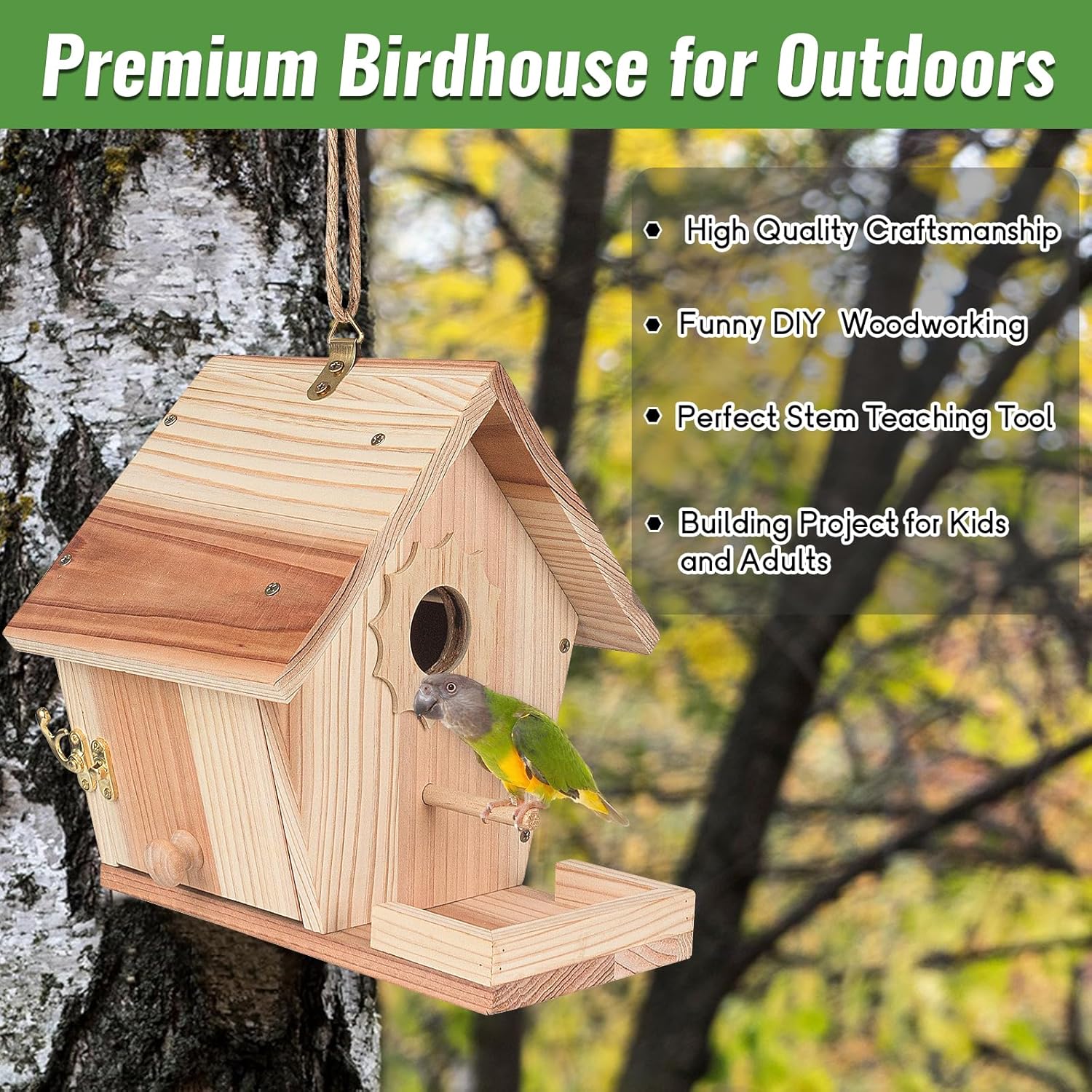 Bird Houses for Outside to Build, DIY Birdhouse Kit with Paint Set, Wo