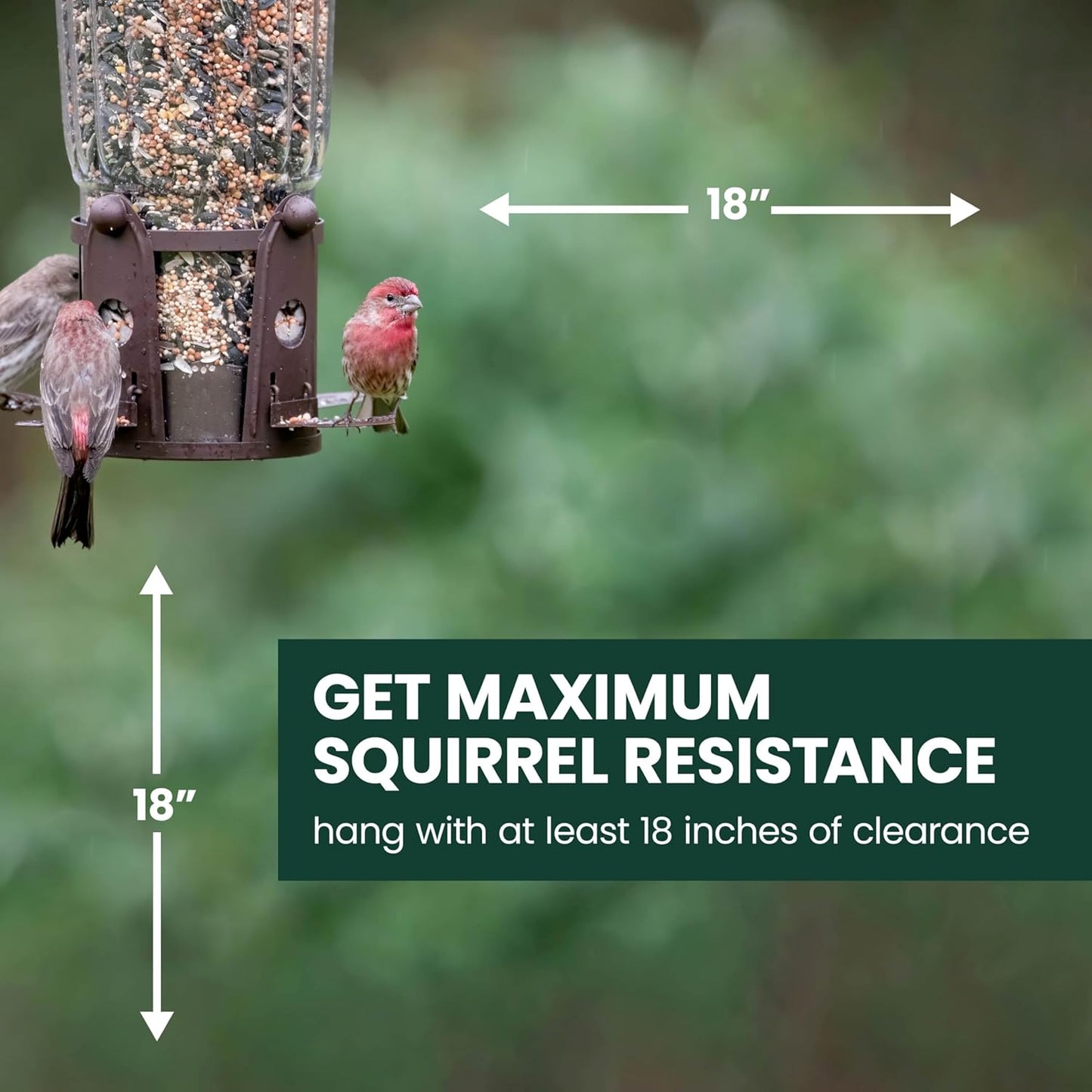 Perky-Pet 334-1SR Squirrel-Be-Gone Max Large Wild Bird Feeder with Flexports, Squirrel Proof Bird Feeder with Weight-Activated Perches - 4LB Seed Capacity