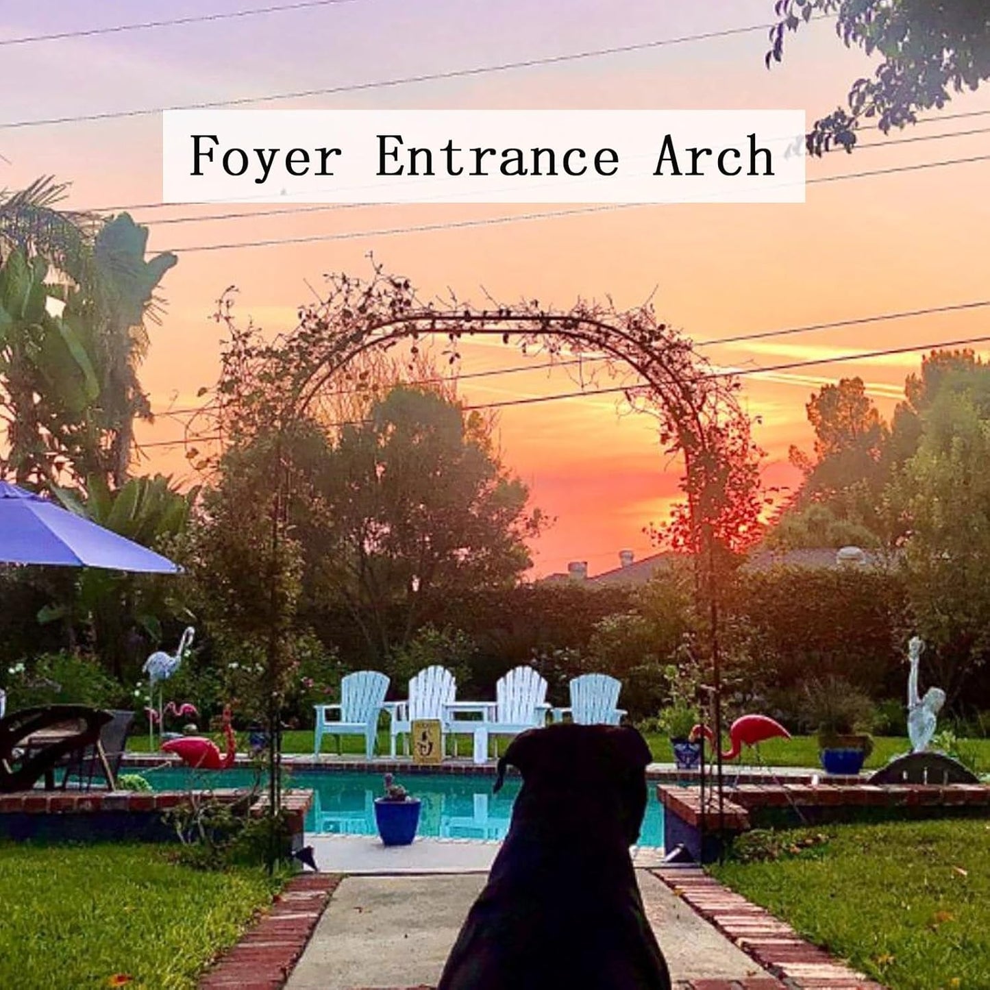 Metal Garden Arbor Arch for Climbing Plants, Decorative Trellis for Roses & Grapes, Outdoor Pergola for Backyard, Patio & Lawn - Stylish Outdoor Decor (Black, 0.8x2x0.4m