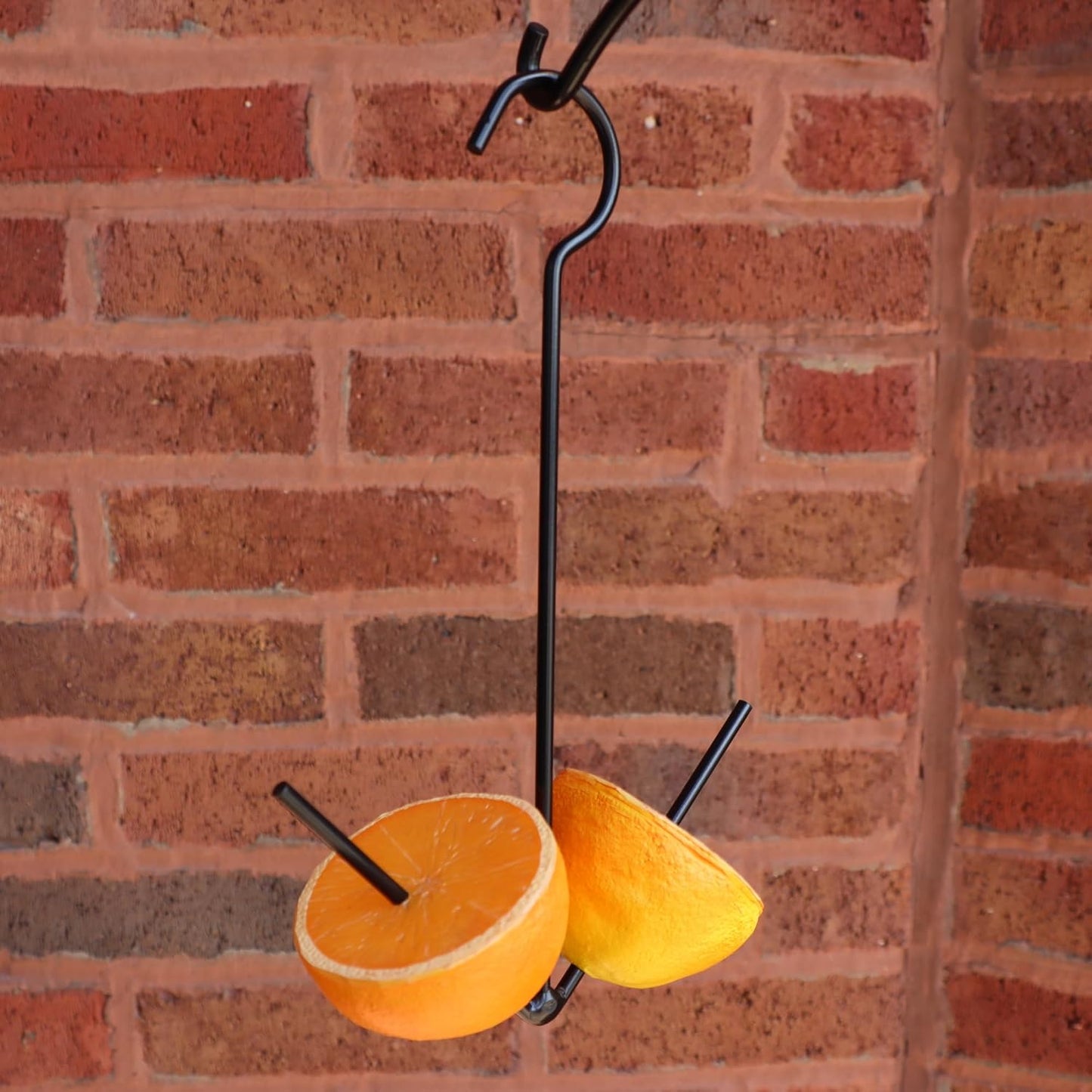 Erva Oriole Orange Fruit Holder | Simple Hanging Bird Feeder with Hook - Made in USA