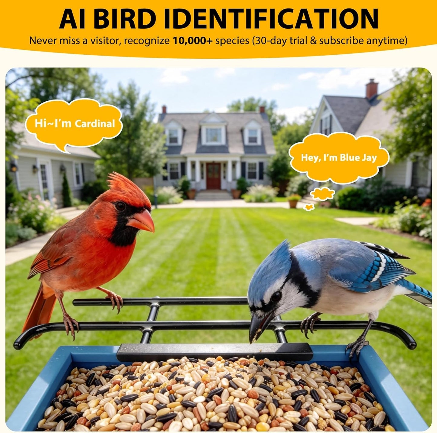 Smart Bird Feeder with Camera 2.5K HD, BOLITE Bird House for Outdoors,