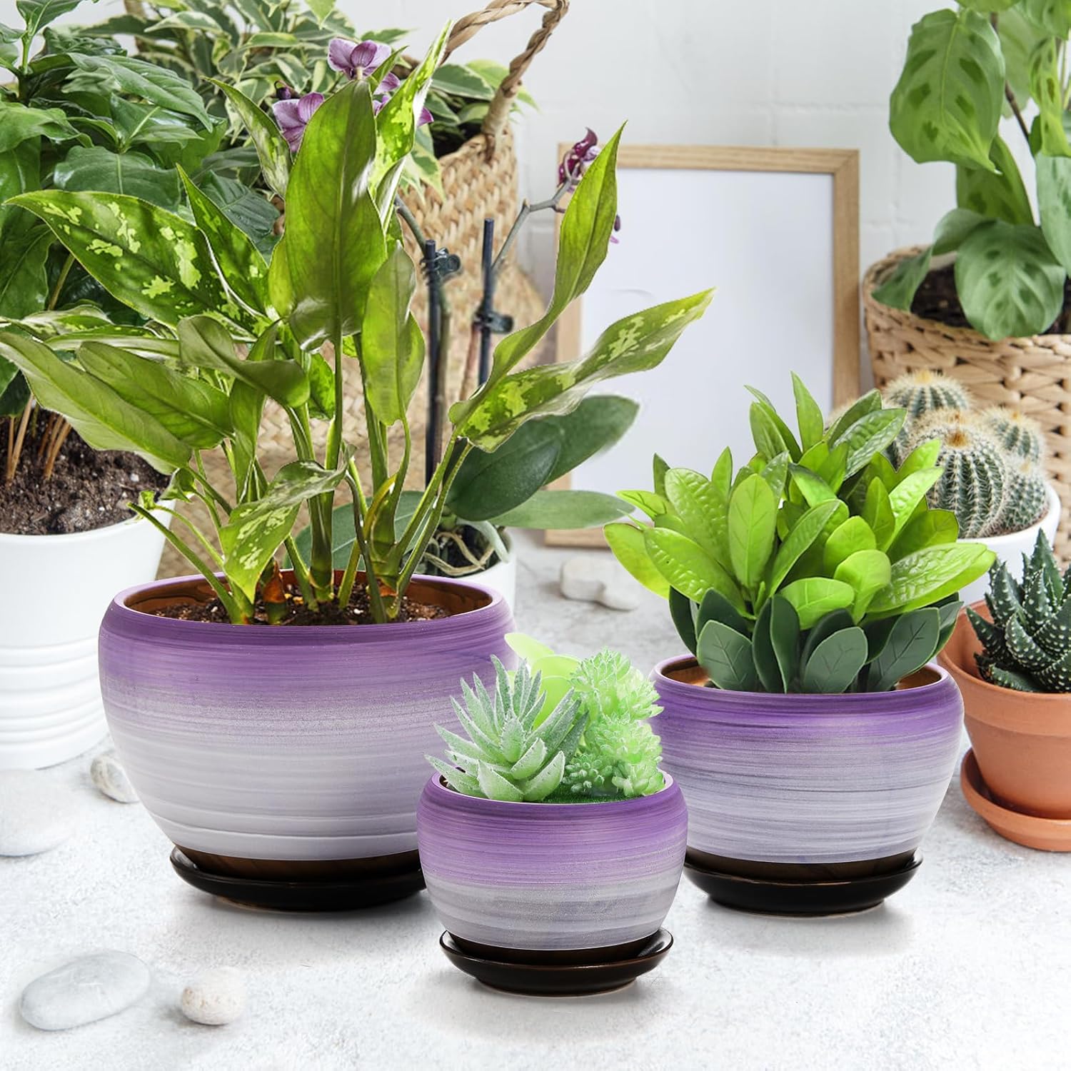 SOUJOY Set of 3 Ceramic Flower Pots, Gardening Plant Pot with Drainage