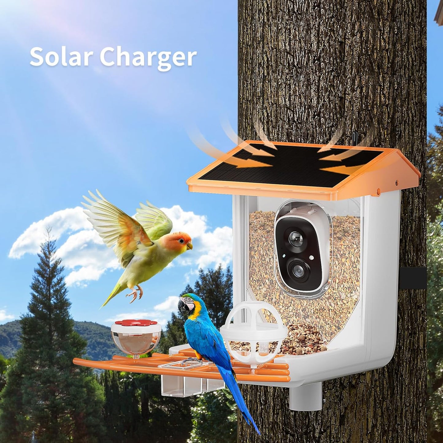Smart Solar Bird Feeder with Camera,2K HD AI Identifies 11,000+ Birds,Solar Powered Wireless Outdoor Camera with Instant Alerts & Auto Capture - Perfect Backyard Bird Watching Gift