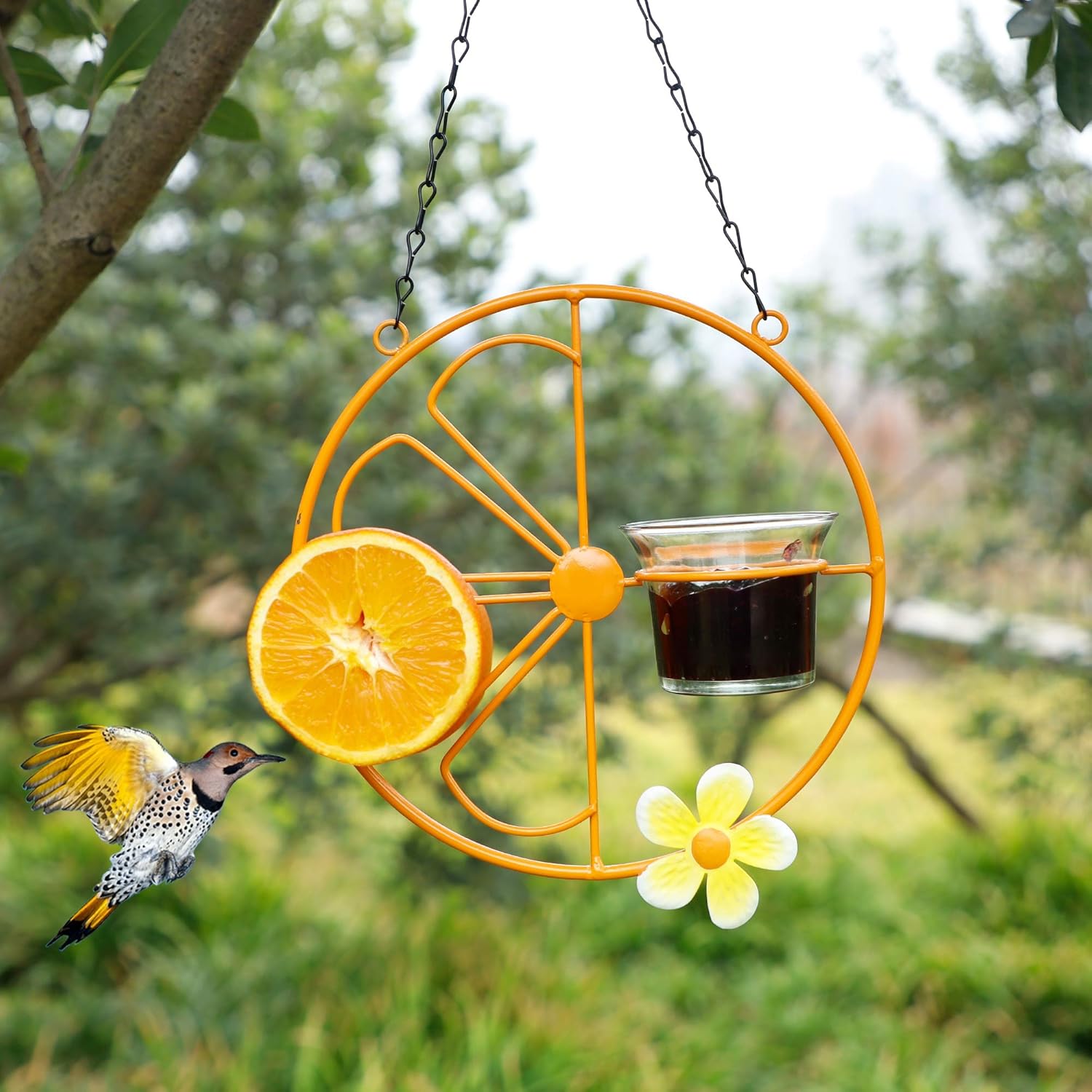 FORUP Oriole Bird Feeder for Outdoors Jelly and Oranges, Orange Fruit 