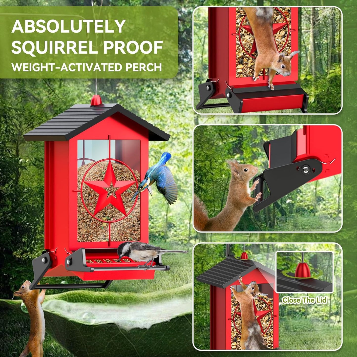 Squirrel Proof Bird Feeders for Outdoors Hanging, Metal Wild Bird Feed