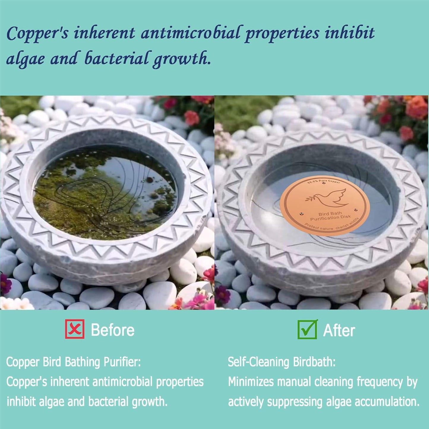 1Pack Bird Bath Copper Purification Disk | 0.6mm Reinforced 99.9% Pure