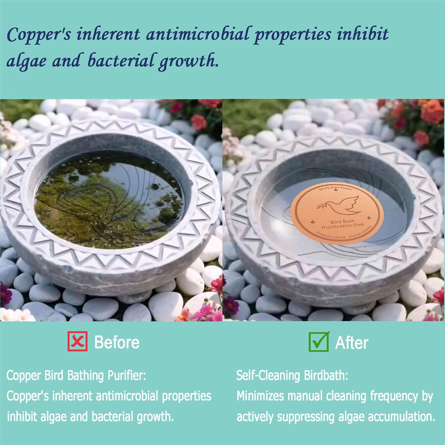 1Pack Bird Bath Copper Purification Disk | 0.6mm Reinforced 99.9% Pure
