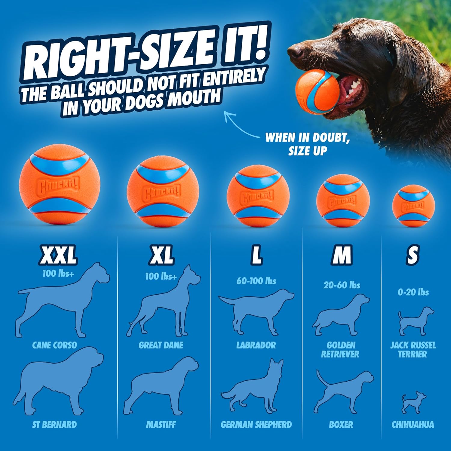 Chuckit! Ultra Ball Dog Toy - Medium Bouncy Fetch Balls For Dogs 20-60