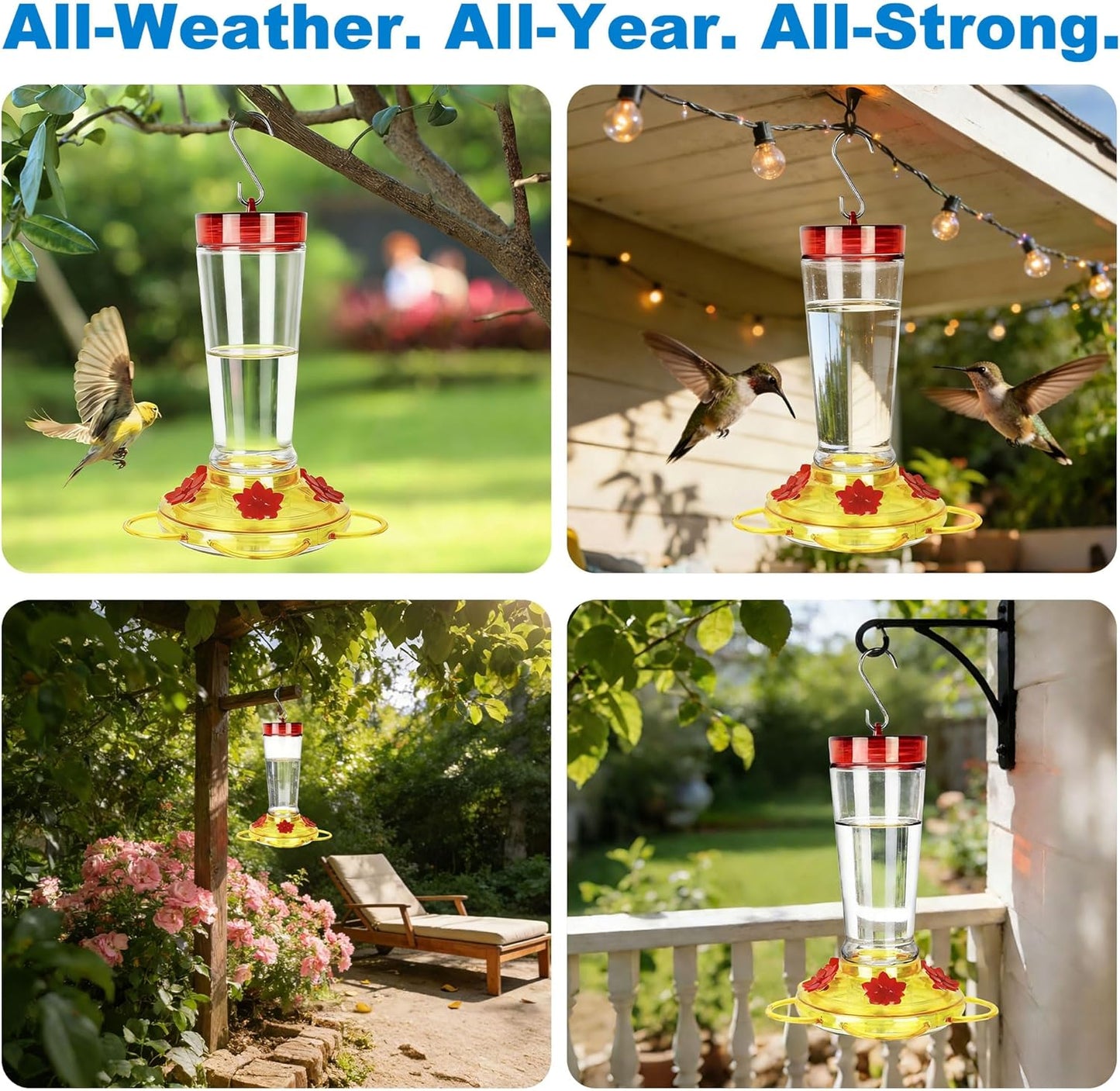 Joliyoou Hummingbird Feeder, 10 Once Glass Hummingbird Feeder Outdoor Hanging, Bird Nectar Feeder