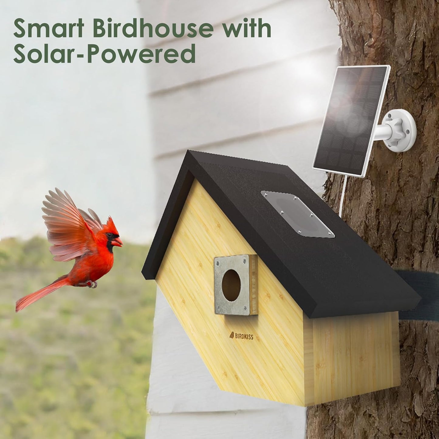 Birdkiss Smart Bird Houses for Outside Solar Powered, 1080P HD Live Vi