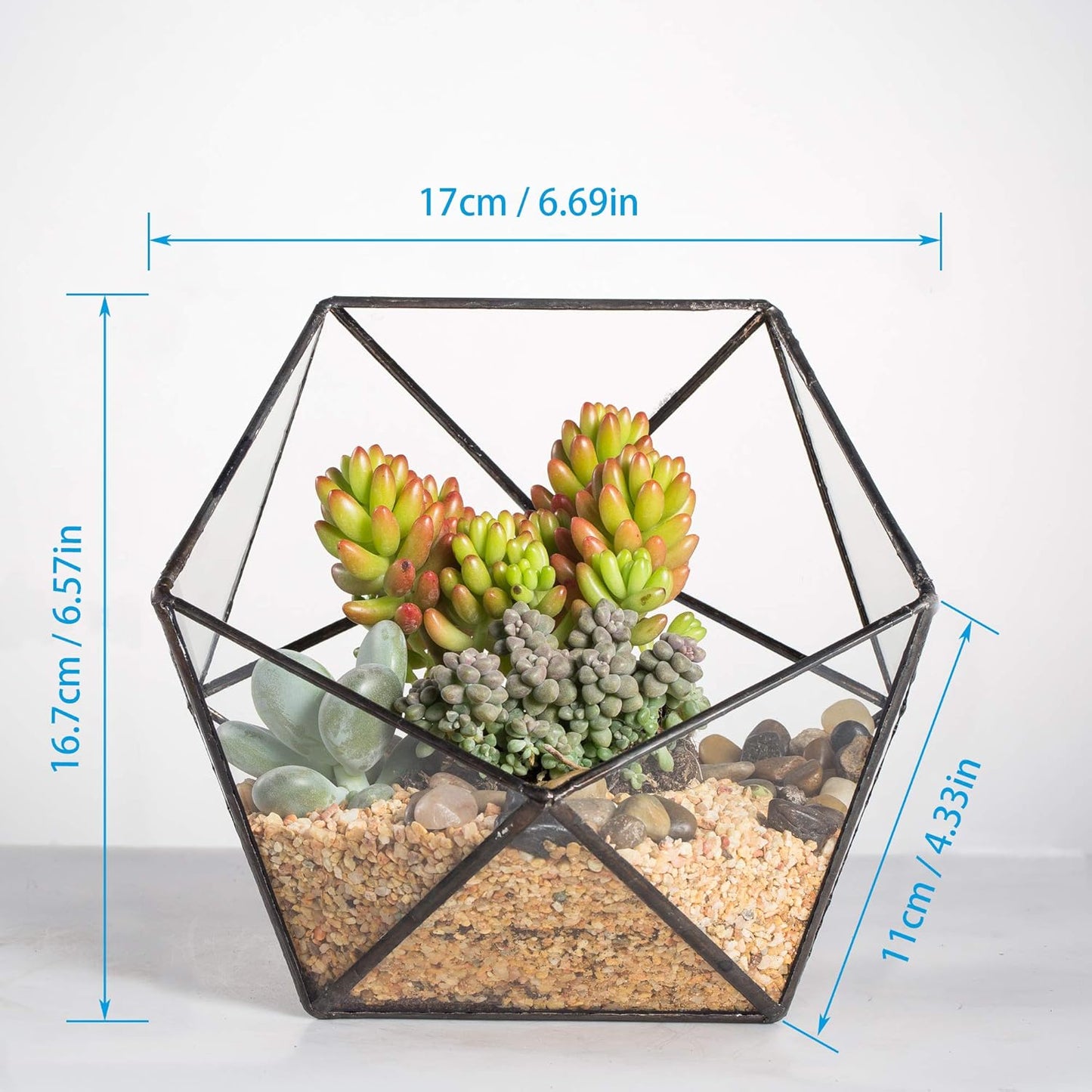NCYP Opened Geometric Glass Terrarium, 6.69" Bowl Shape Planter for Succulent Plant Cacti, Indoor Balcony Irregular Decor, Garden Miniature Pot, Tabletop Centerpiece (No Plants)