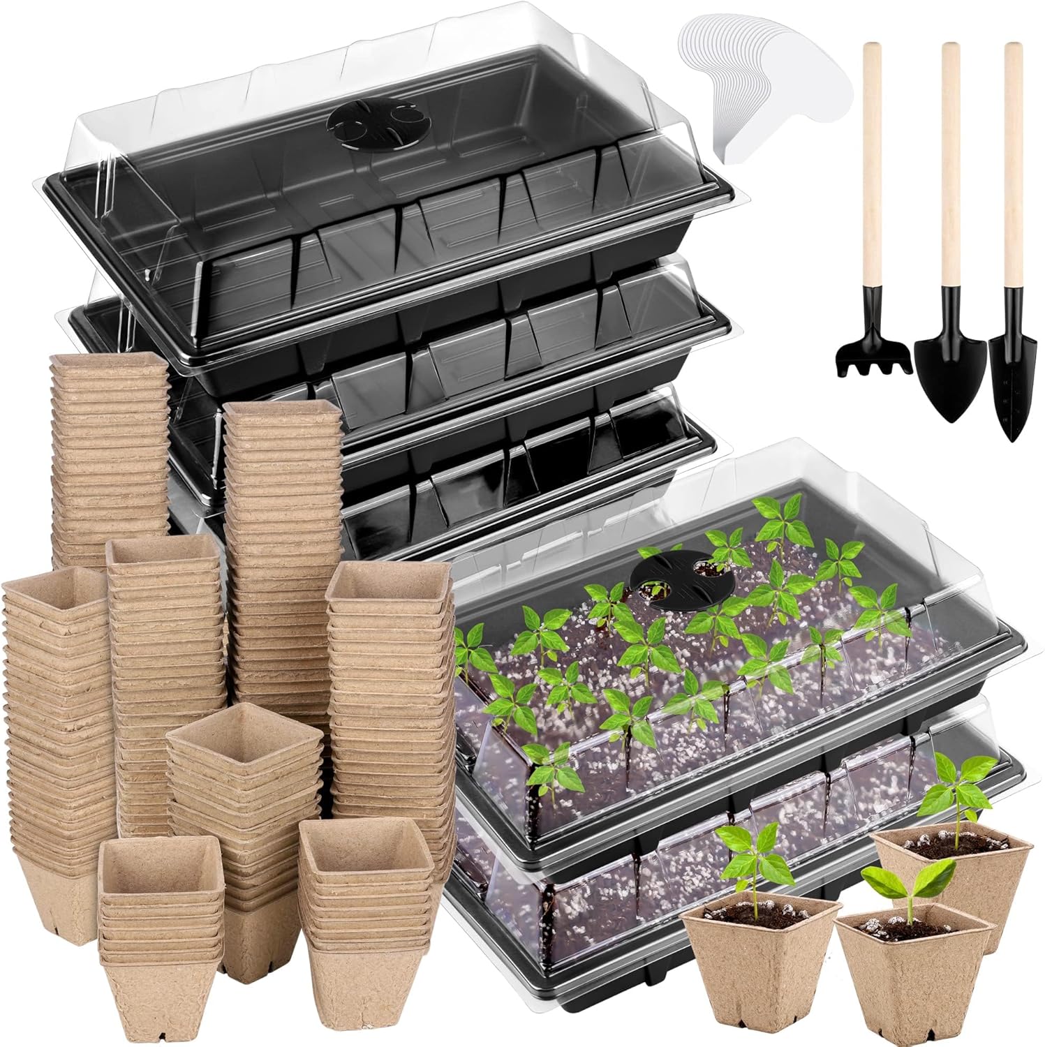 6 Pack Seed Starter Tray Kit with 120 Square Peat Pots for Seedlings, 