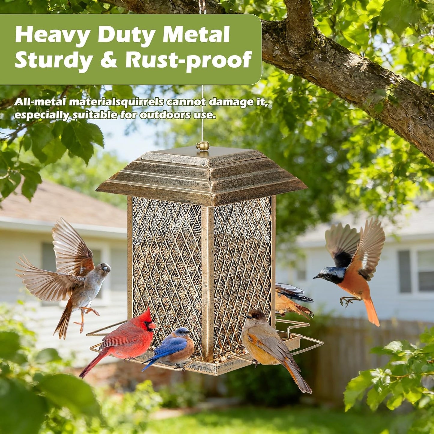 Bird Feeder, Heavy Duty Metal Bird Feeders for Outdoor Hanging, Large Capacity Wild Birdfeeder Lantern Shape Hold 4 LB Seed, Easy to Fill