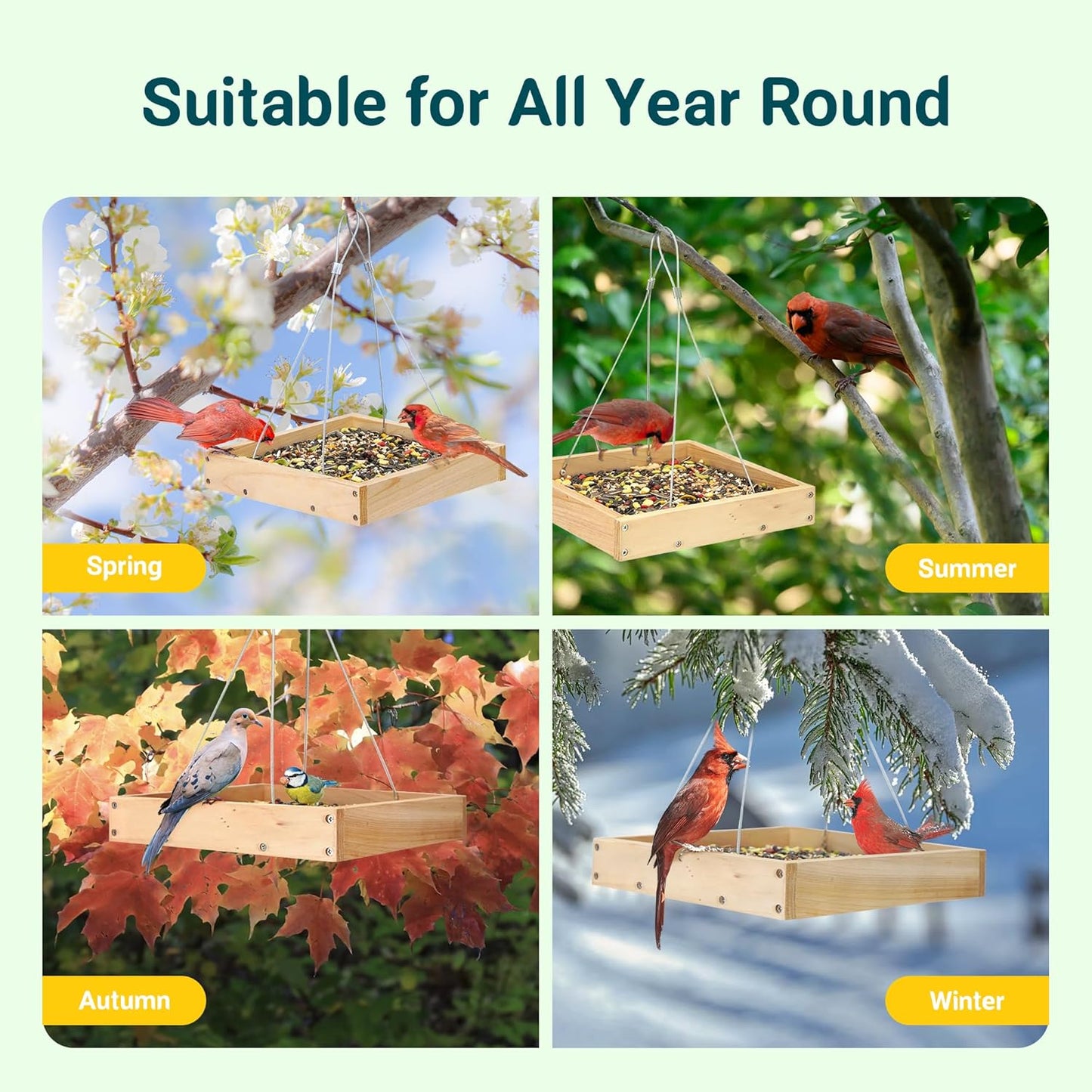 TT Nature Platform Bird Feeder for Outdoor, Eco-Friendly Wood Hanging 