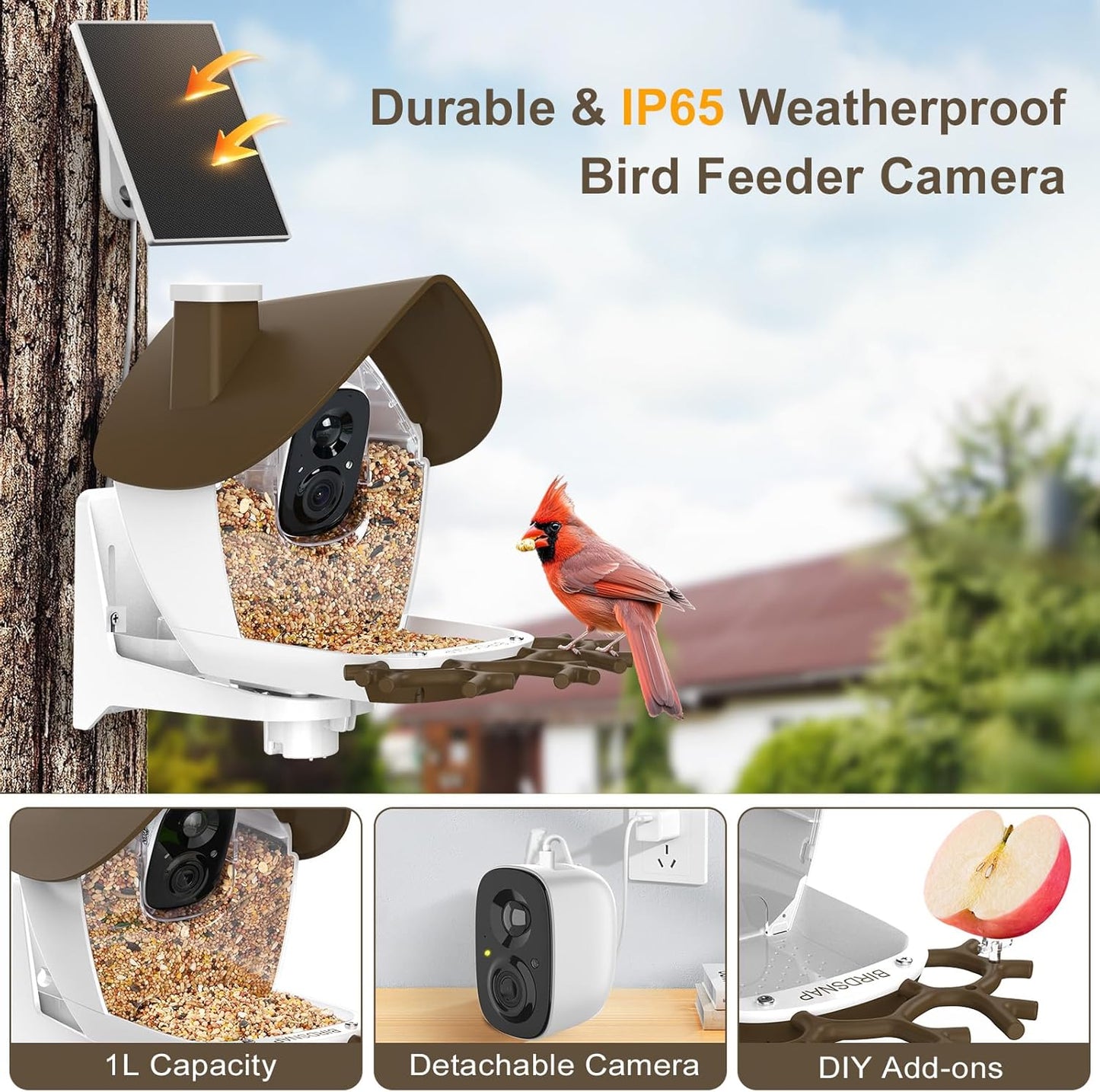 birdsnap® P33 - Smart Bird Feeder with Camera Solar Powered, 2K Video Bird Camera Feeder Live with 32GB Card, AI Identify Feather Species, Auto Record in Backyard, Ideal Gift for Birds Lover