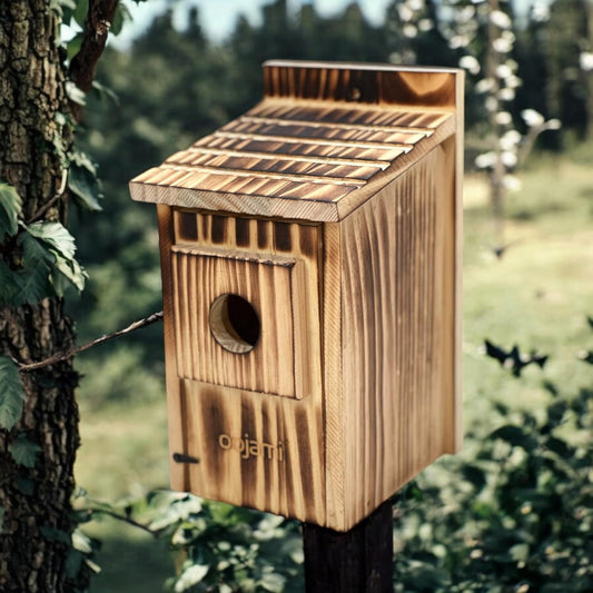 Outdoor Bird House for Bluebird, Finch, Wren, Chickadee, Tree Swallow, Wild Birds, Woodpecker, Easy-to-Open Nesting Box (Brown)