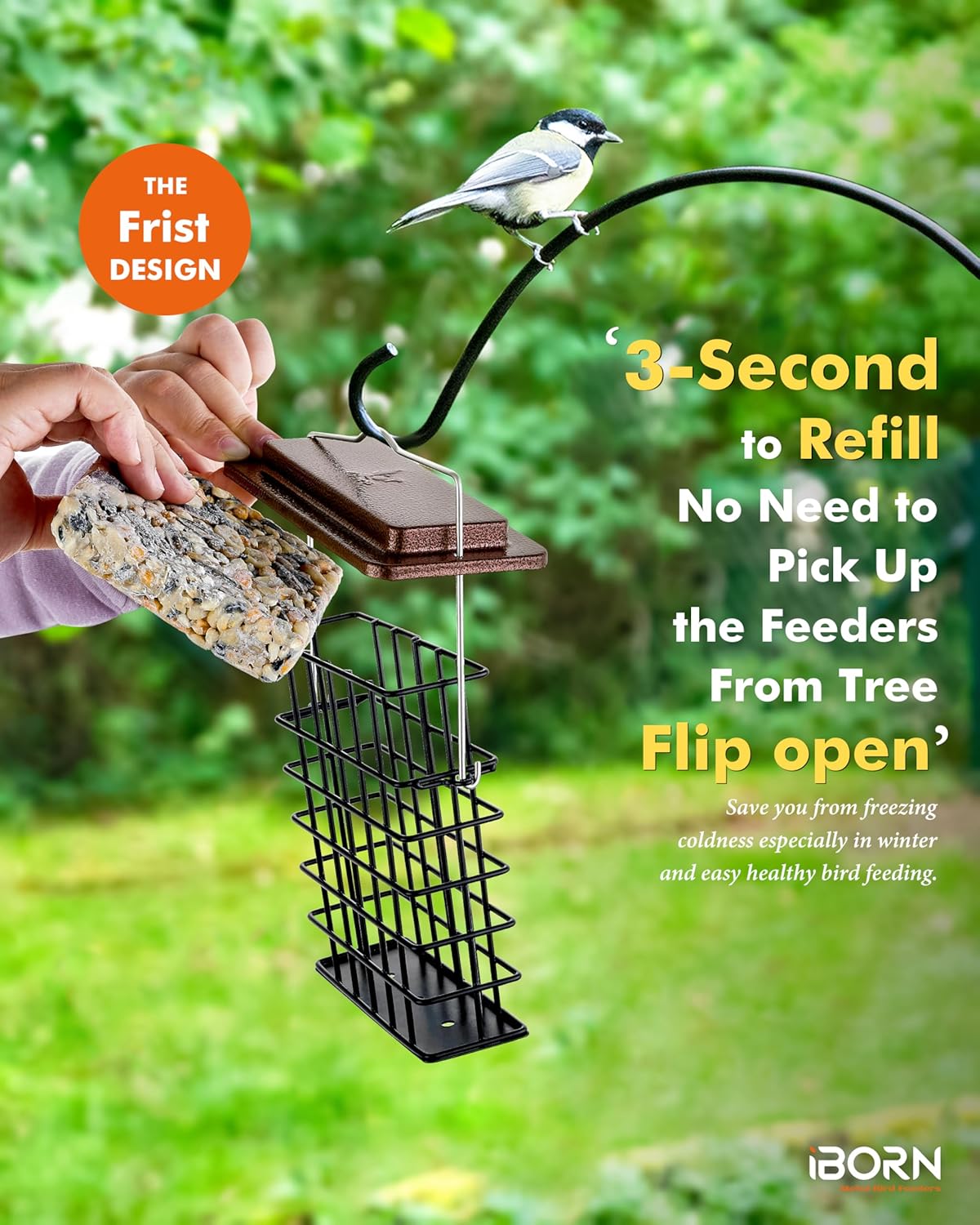 iBorn Suet Feeder Suet Bird Feeders [Single Capacity] for Outside Hang