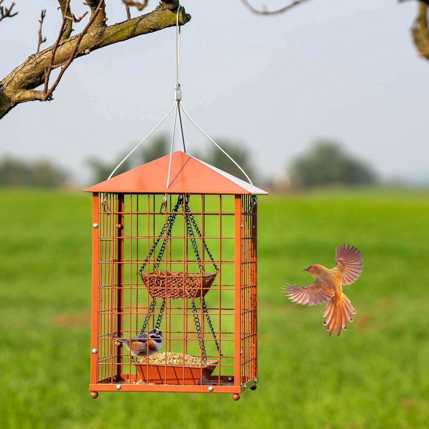 Mealworms Bird Feeders for Bluebirds - Metal - Huge Caged Squirrel-Proof Bird Feeders with 2 Cups, DIY Wild Bird Feeders Outdoor Hanging (Brown), Attract Wild Birds, 2lbs Seed Capacity+1 Mealworms Cup