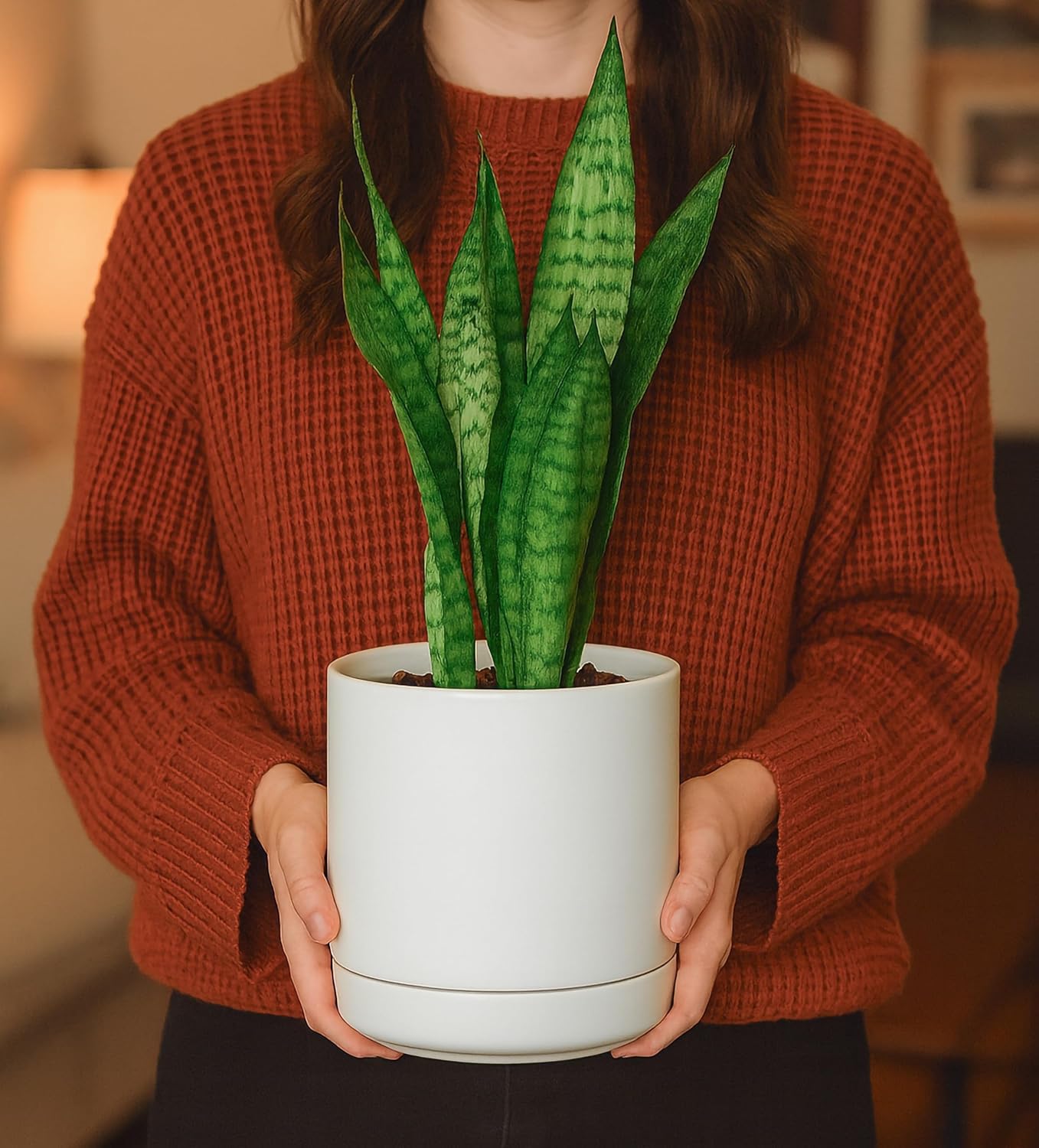 D'vine Dev Set of 2 Plants Pots, 6.5 Inch Ceramic Planter Pot for Plan