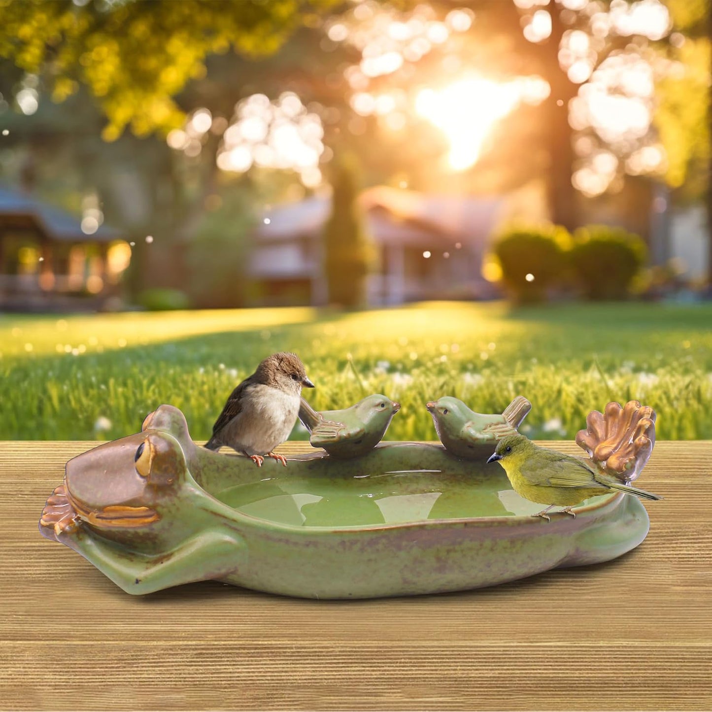 Birdbath Bowl Only, Ceramic Ground Level Bird Baths for Outdoors, Frog