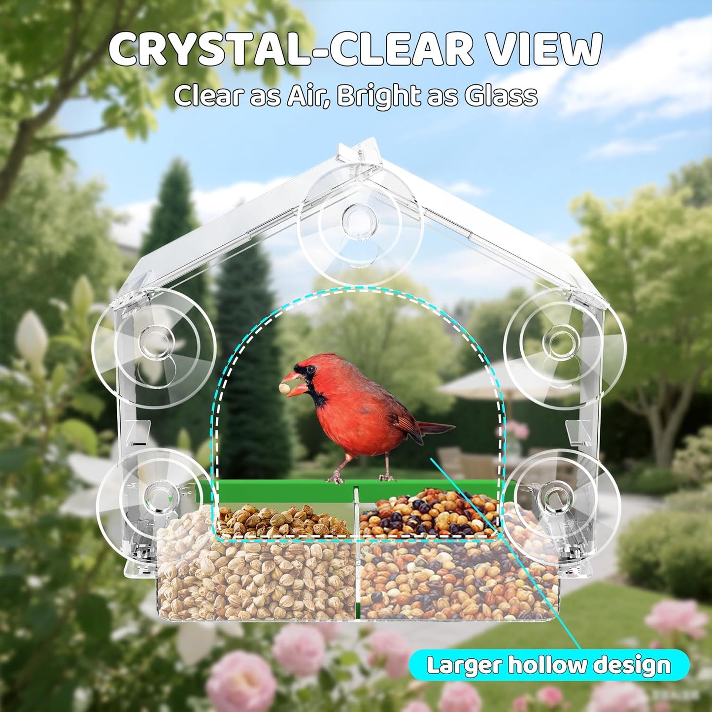 Window Bird Feeder, Clear Birds Feeder with 5 Strong Suction Cups, Eas