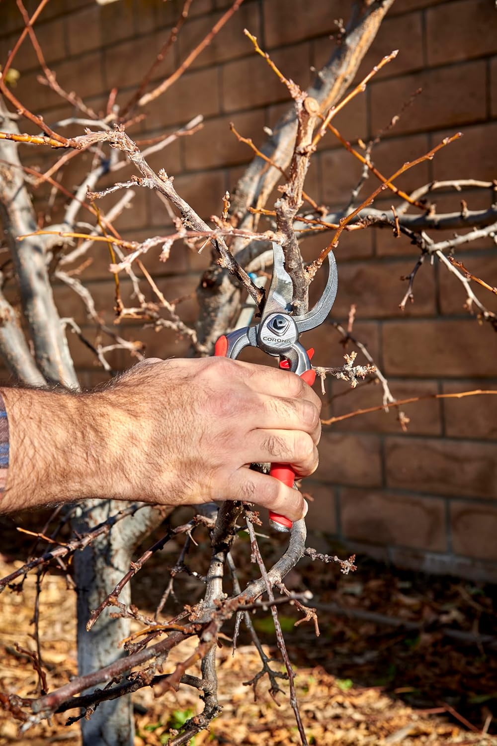 Corona Tools DualCUT Forged Steel Bypass Hand Pruner – 1″ Cutting Capacity Garden Pruning Shears for Branch & Stem Cutting