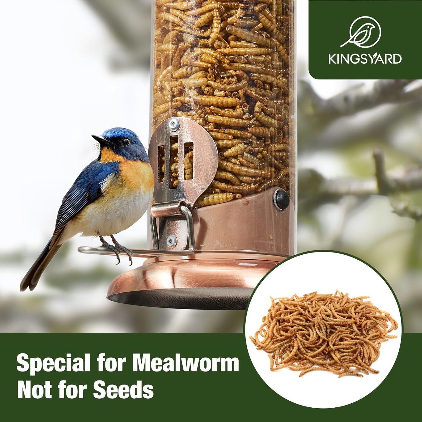 Kingsyard Upgraded Bluebird Feeder for Outdoors Hanging, Metal Mealworm Tube Bird Feeder with Widen Perch for Wild Birds, Squirrel Chew Proof, Easy to Refill & Clean(Copper)