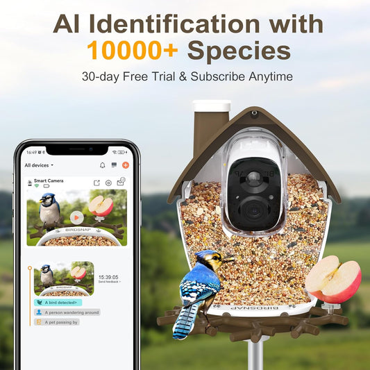 birdsnap® P33 - Smart Bird Feeder with Camera Solar Powered, 2K Video Bird Camera Feeder Live with 32GB Card, AI Identify Feather Species, Auto Record in Backyard, Ideal Gift for Birds Lover
