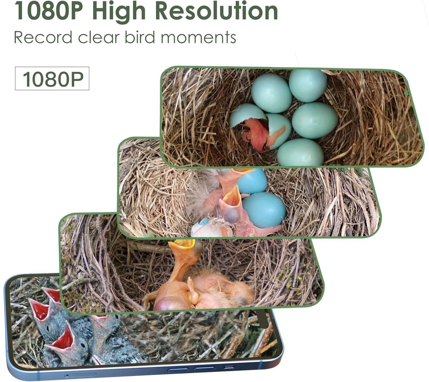 Birdkiss Smart Bird Houses for Outside Solar Powered, 1080P HD Live Vi
