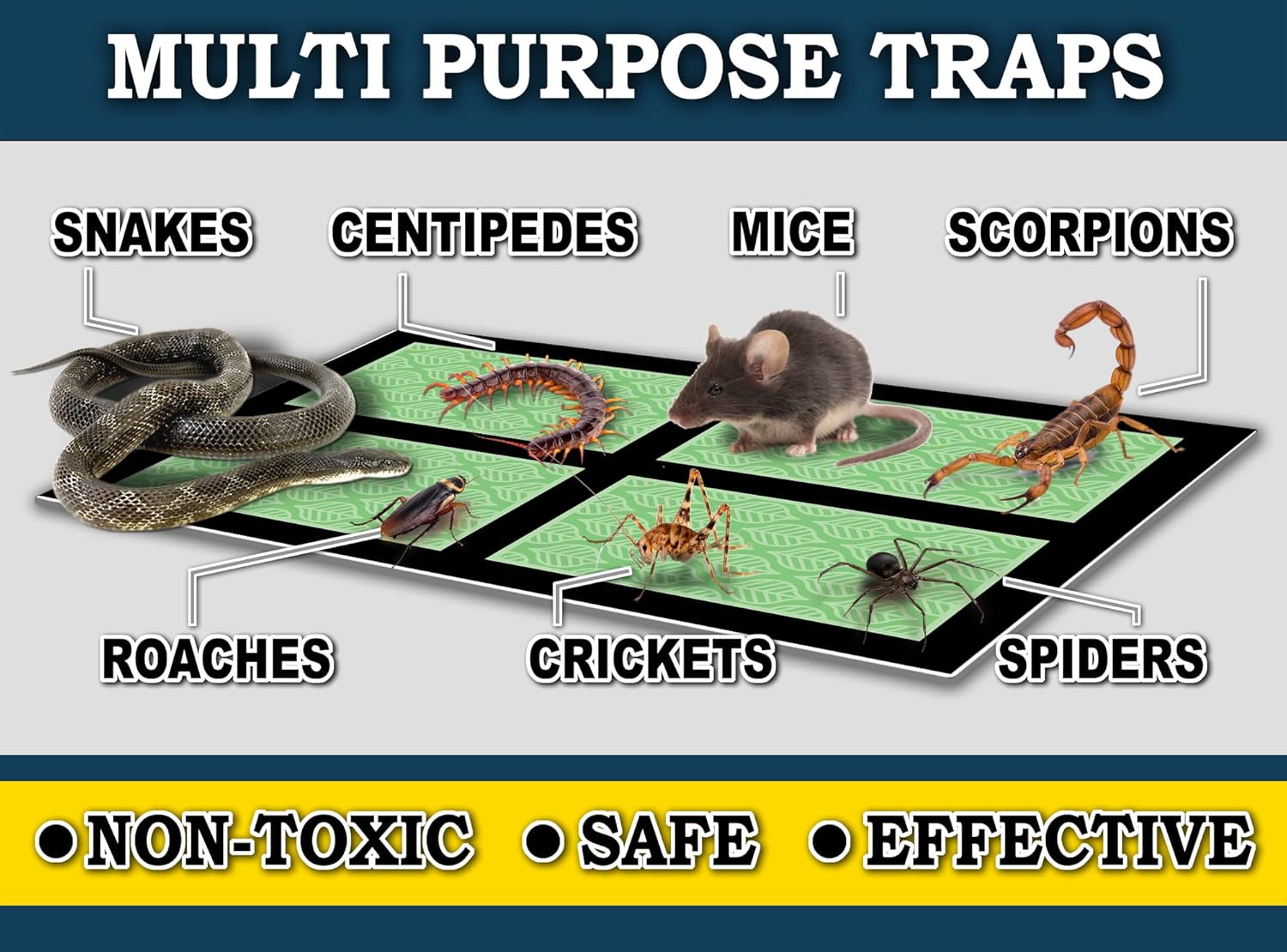 MaxGuard Mini Glue Traps (48 Traps) Non-Toxic Extra Sticky Glue Board 