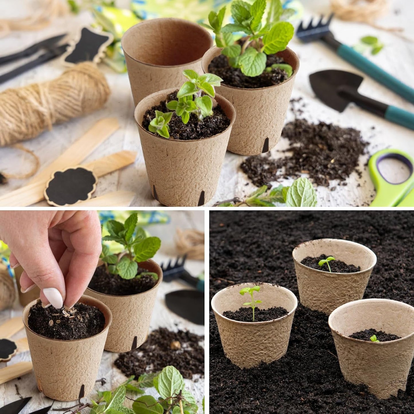 130 Pcs 3.15 Inch Peat Pots,Seed Starting Pots with Drainage Holes Rou