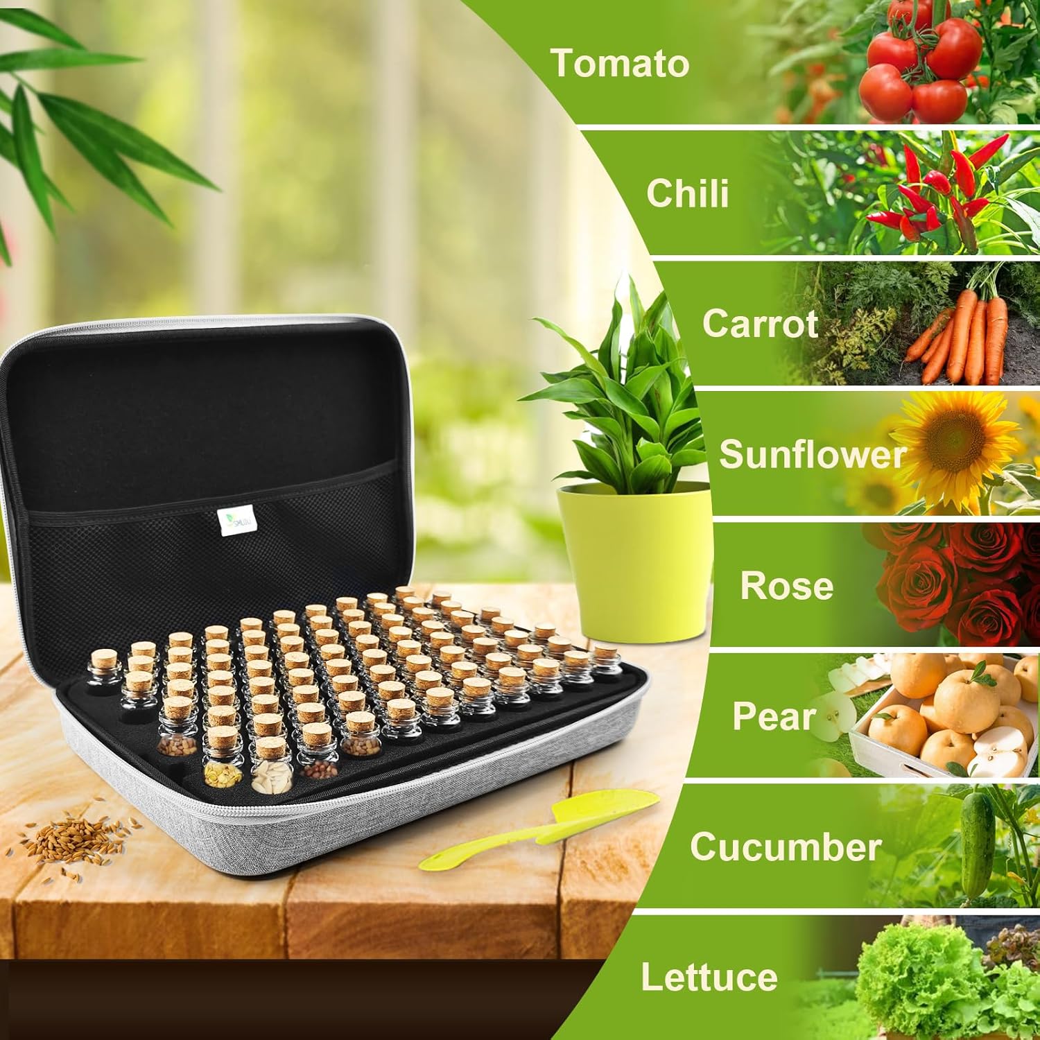 【80 Slots】 Seed Storage Organizer, Sturdy Seed Organizer Storage Box w