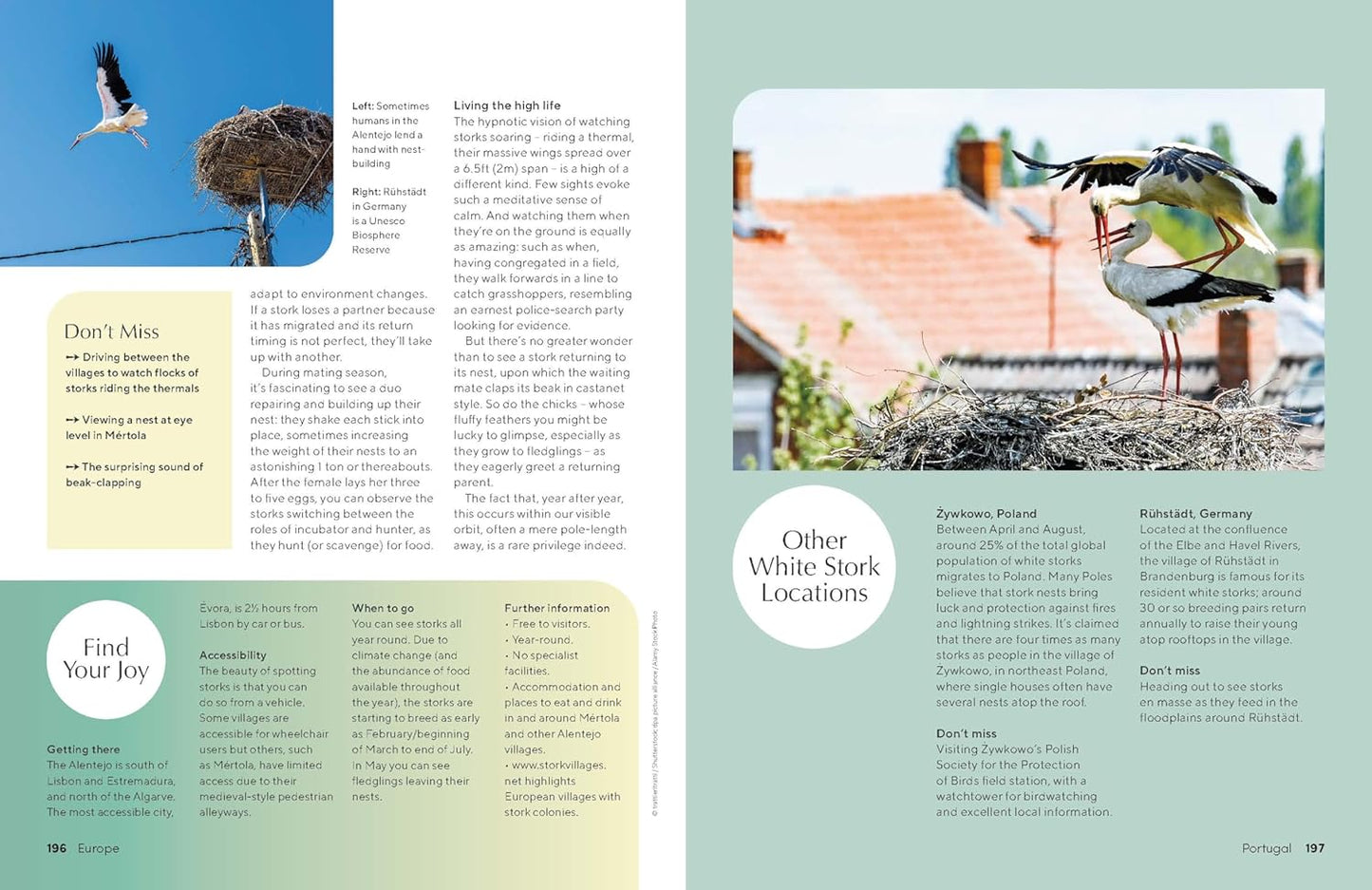 Lonely Planet The Joy of Birdwatching