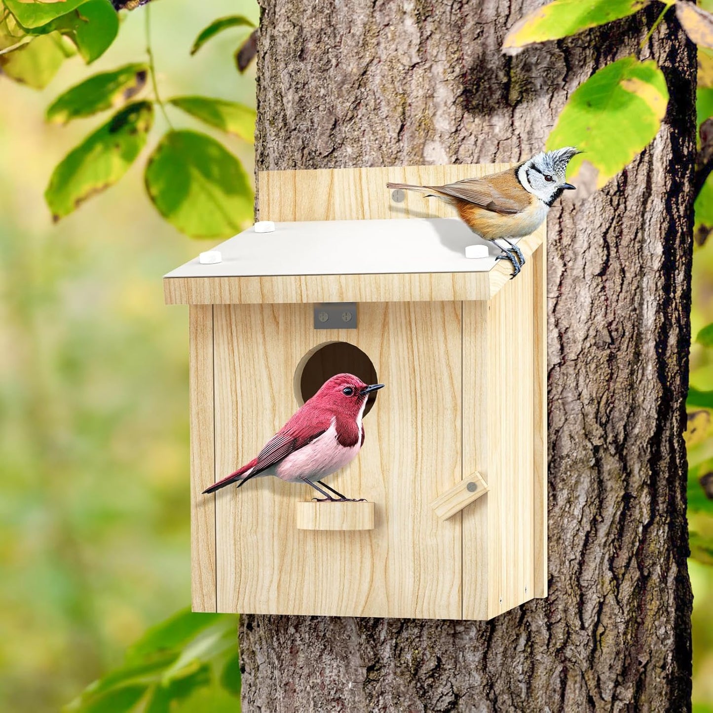 Bird Houses for Outside, Bluebird House with Standing Perch, Hanging Wood Bird House with Waterproof Acrylic Plate for Small Birds Bluebird Finch Swallow Wren Chickadee Assembly Required