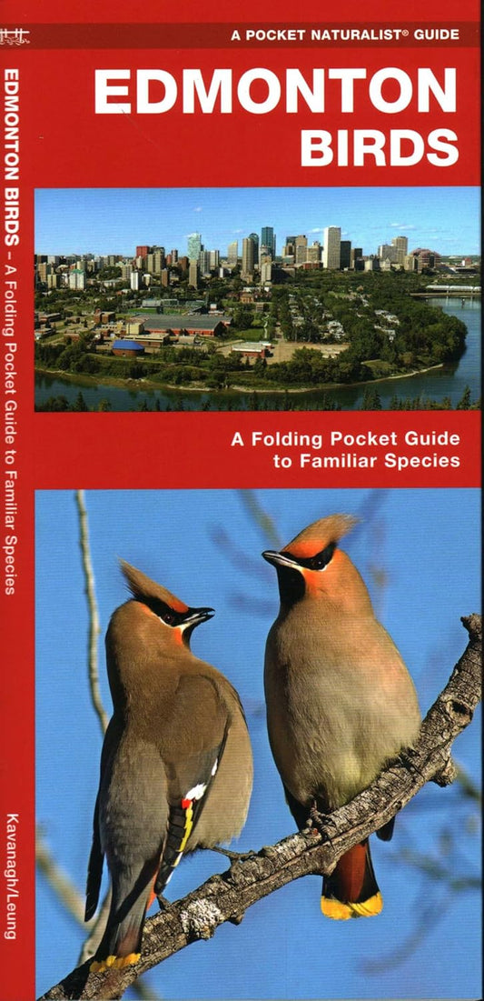 Edmonton Birds (Nature Observation North America)