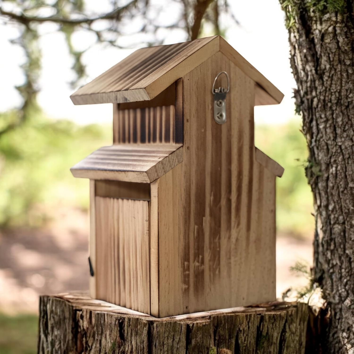 Bird House for Bluebird, Finch, Wren, Chickadee, Tree Swallow, Wild Bi