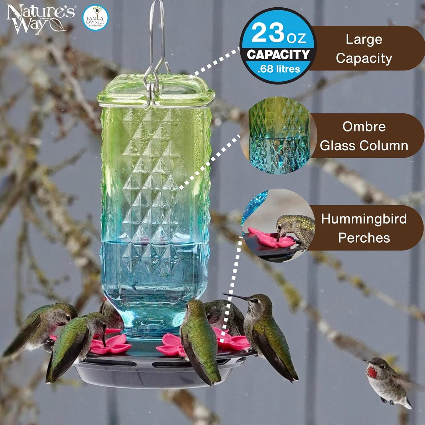 Seafoam Ombre Column Gravity Glass Hummingbird Feeder for Outdoor Décor, 23 oz Nectar Feeder with 6 Flexible Flower Ports, Continuous Perch Ring & Easy-Clean Two-Part Base, Bee-Resistant Design
