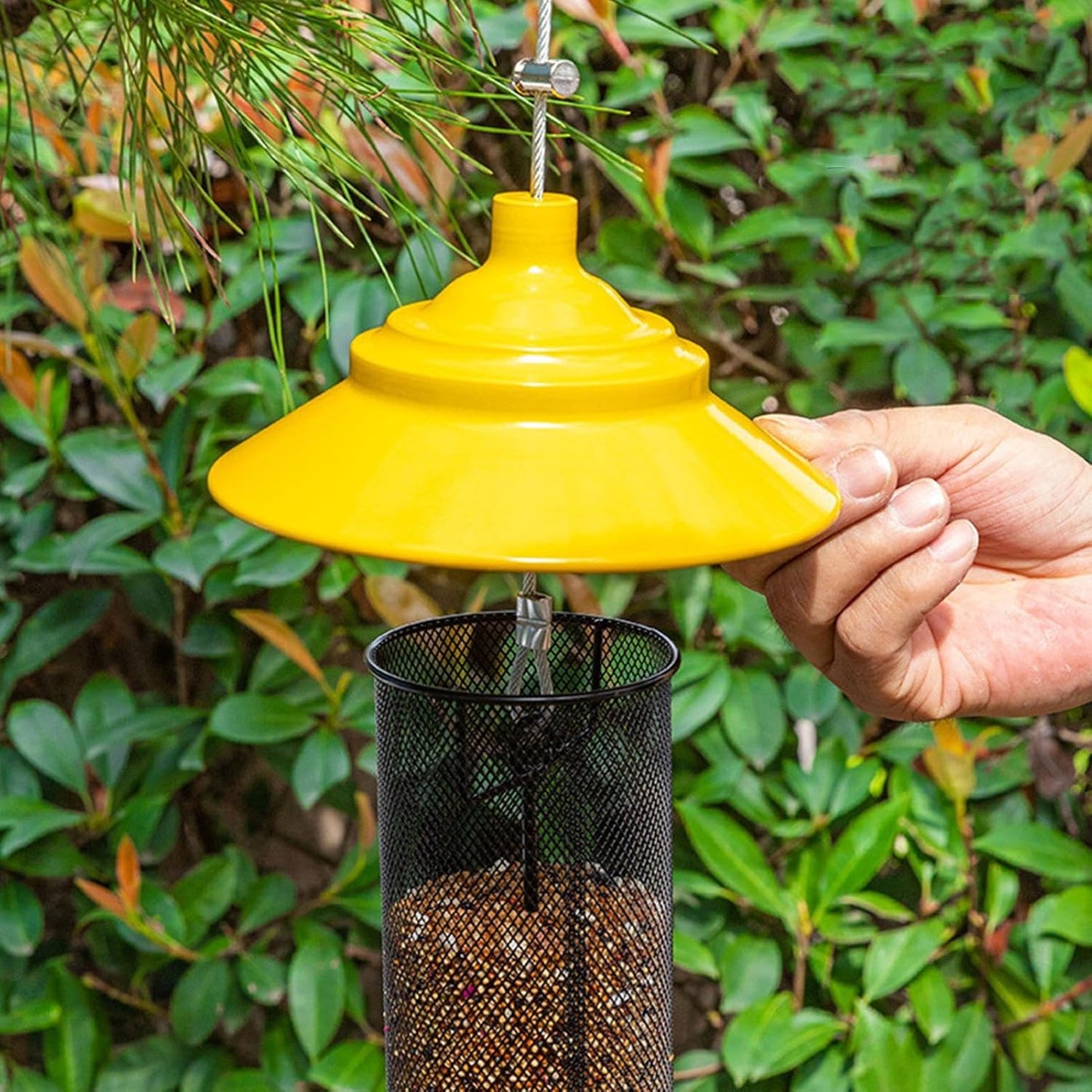Heavy Duty Finch Feeder, Metal Mesh Feeder, 10 Inch Bird Dispenser wit