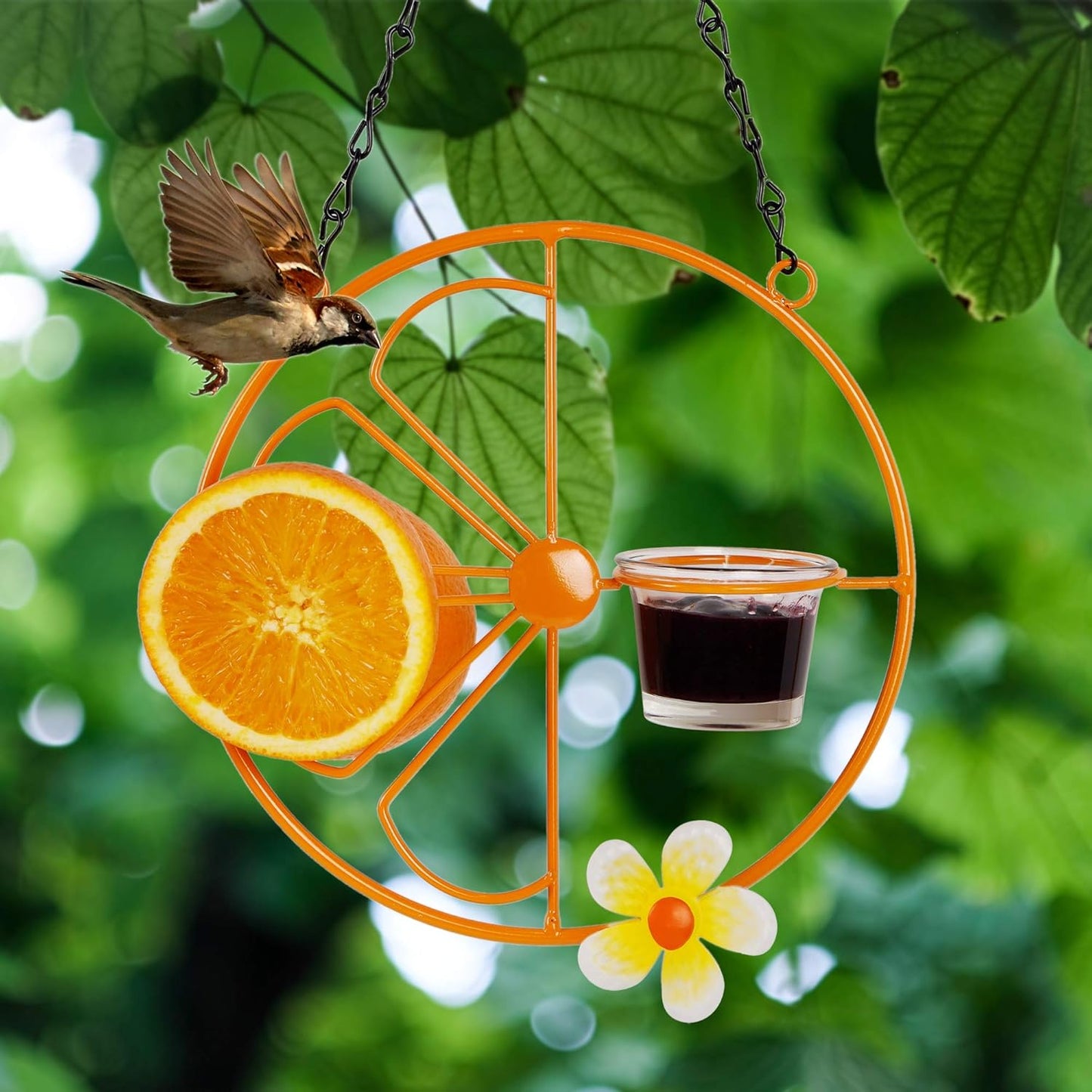 FORUP Oriole Bird Feeder for Outdoors Jelly and Oranges, Orange Fruit 