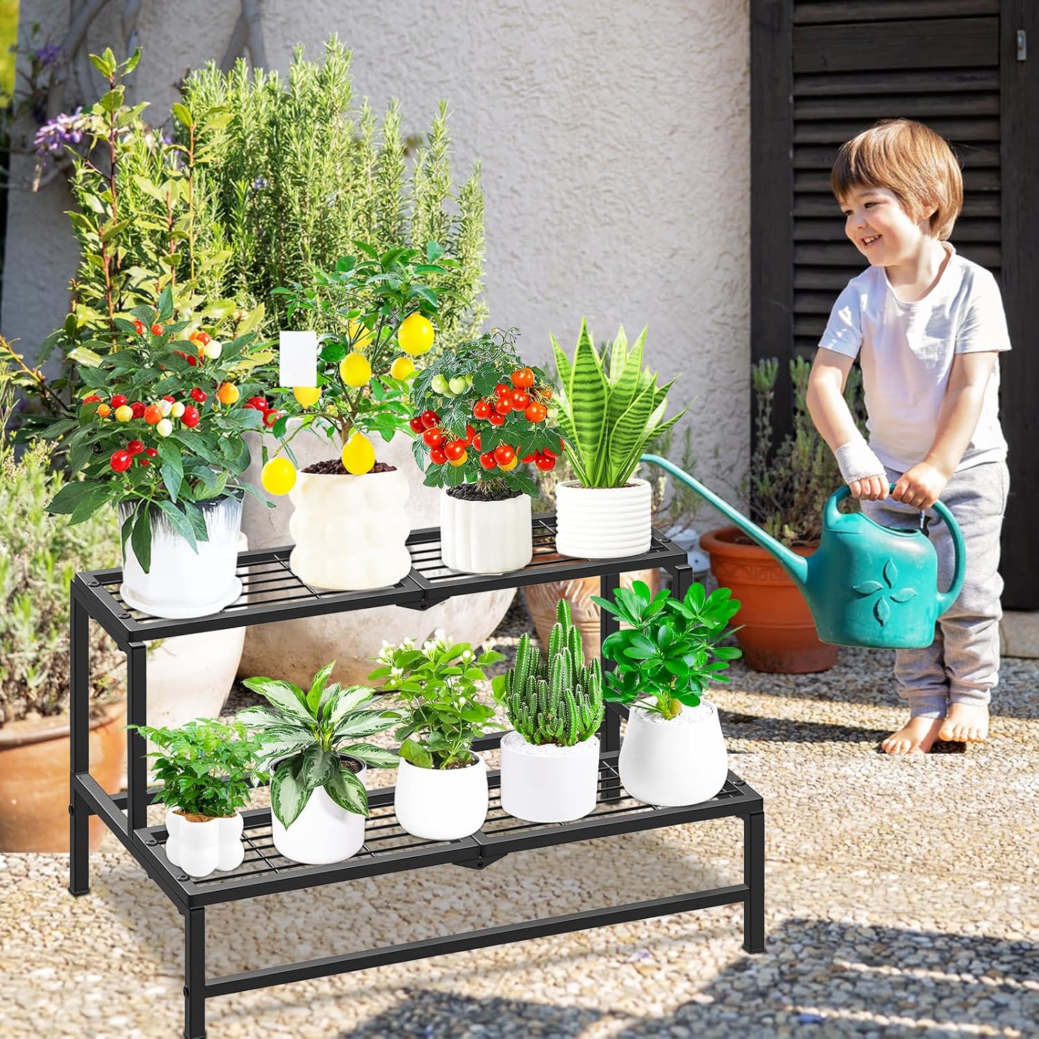 2 Tier Plant Stand Indoor Outdoor, Heavy Duty Metal Tall Plant Shelf f