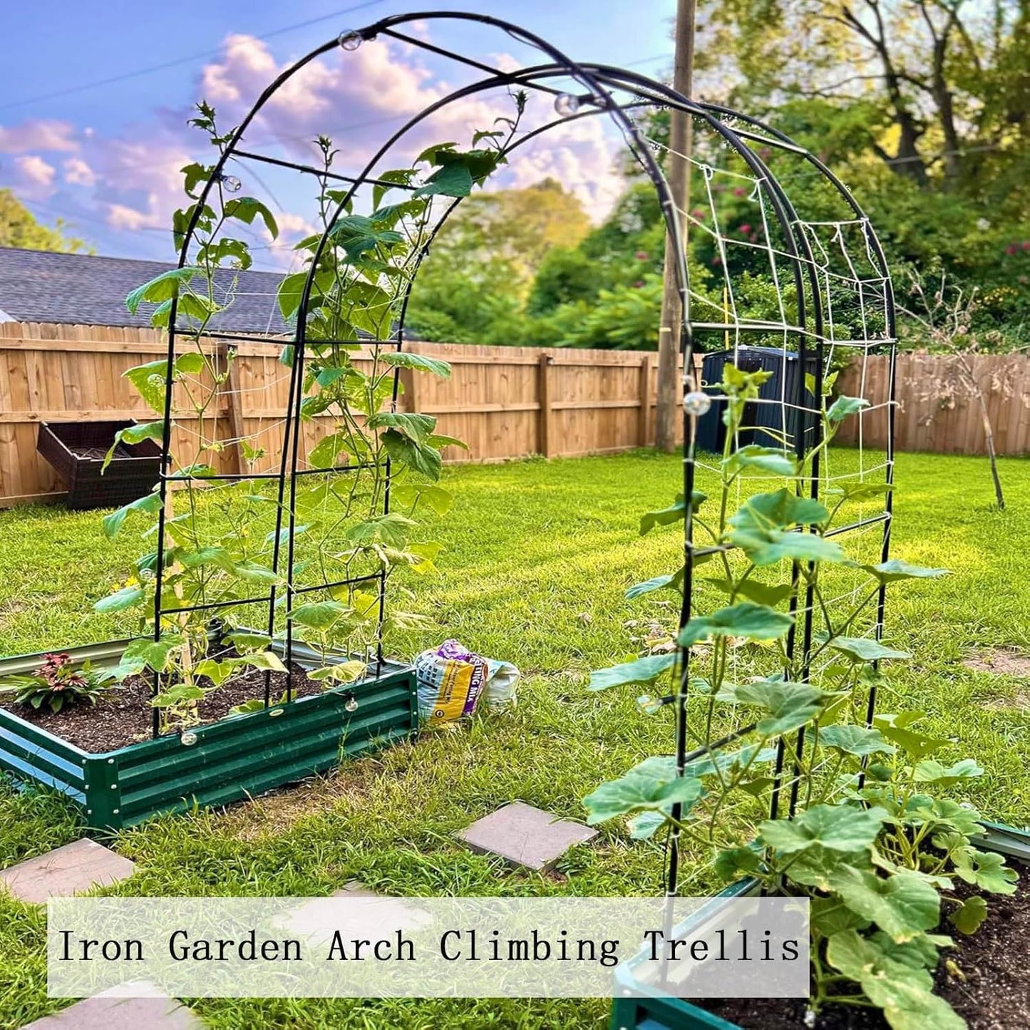 Metal Garden Arbor Arch for Climbing Plants, Decorative Trellis for Roses & Grapes, Outdoor Pergola for Backyard, Patio & Lawn - Stylish Outdoor Decor (Black, 0.8x2x0.4m