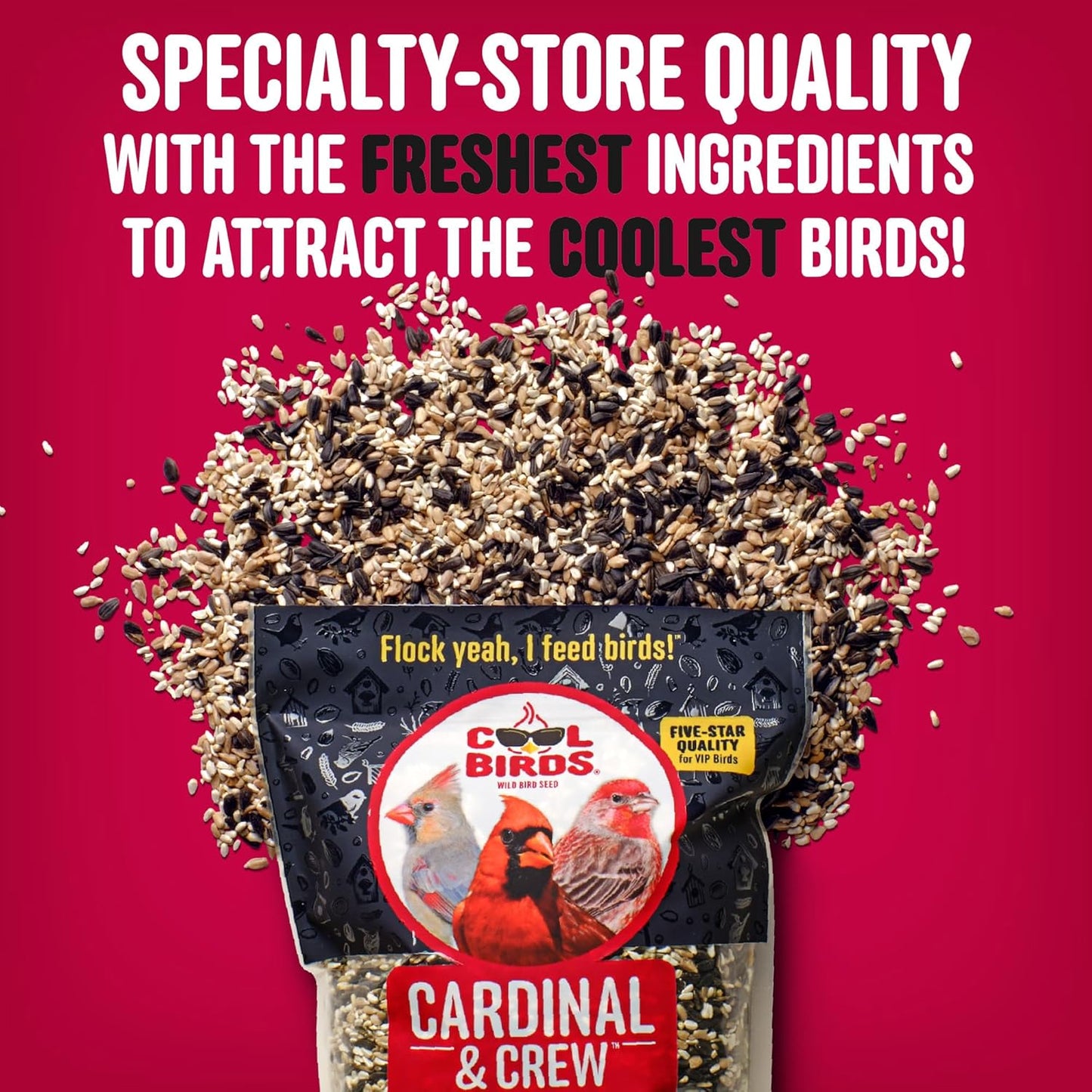 Cardinal & Crew Wild Bird Seed – 10 lb. Black Oil Sunflower, Sunflower