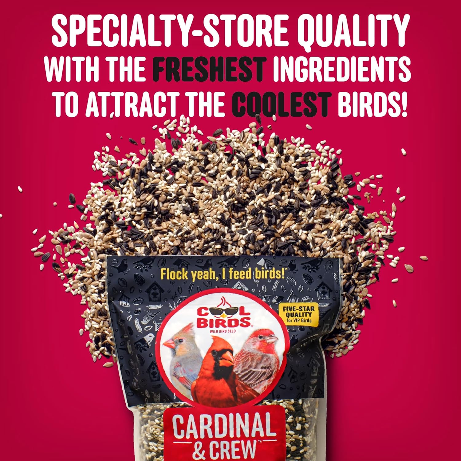 Cardinal & Crew Wild Bird Seed – 10 lb. Black Oil Sunflower, Sunflower