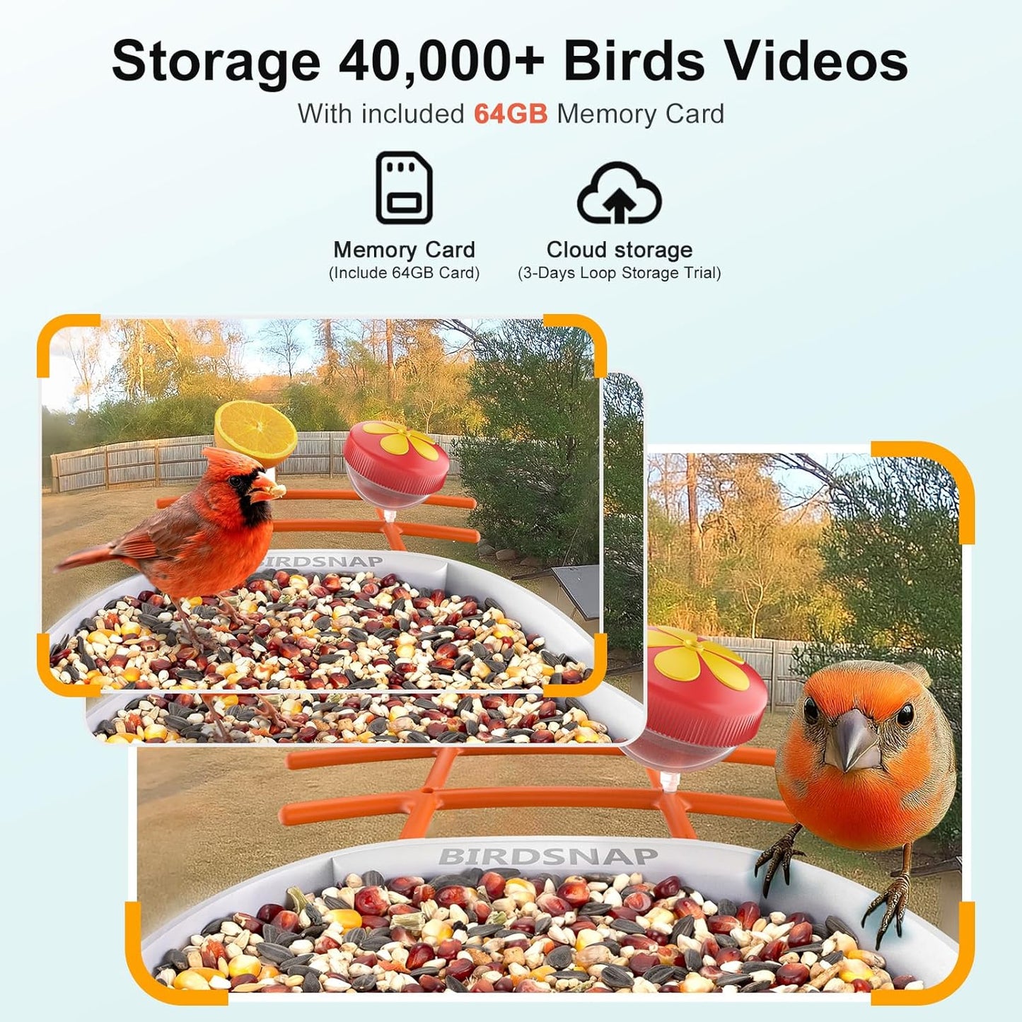 birdsnap® PAV-Bird Feeder with Camera,2K HD with 64GB Card, AI Identify Smart Bird House Cam Solar Panel,Live Stream,Motion Detection,Auto Record Video for Backyard Outdoors,Ideal Gift for Bird Lover