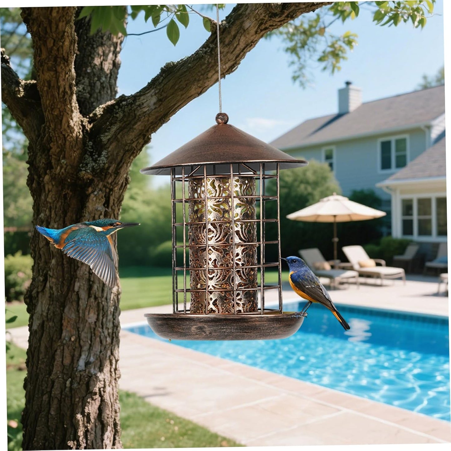 Winter Bird Feeders for Outside, Weatherproof Metal Squirrel-Proof Han