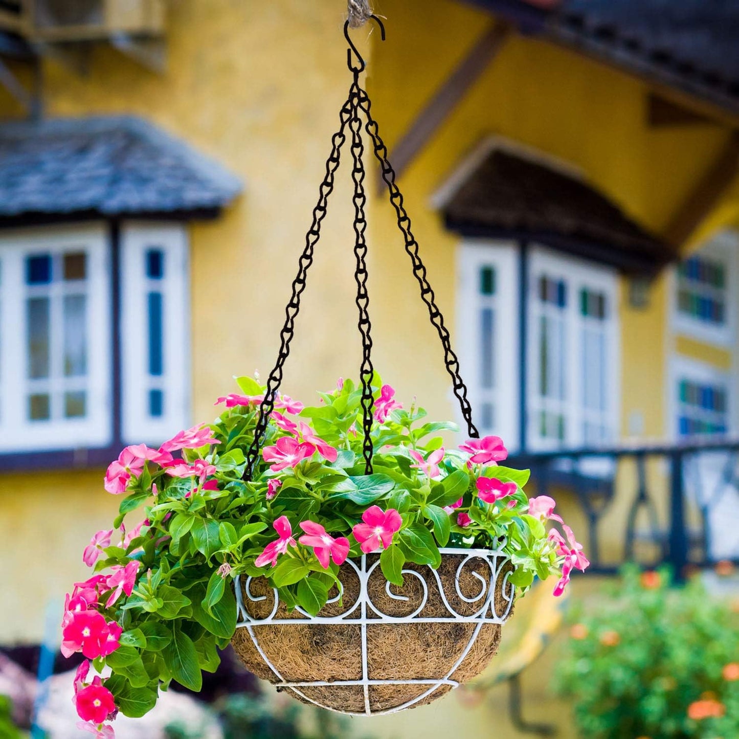 Blue Donuts Hanging Chain for Bird Feeder, Hanging Planter, Multipurpose Chain Extension, Oil Rubbed Bronze, Pack of 12 – Four 14.5 Inch, Four 26.5 Inch, Four 38.5 Inch – Total of 318 Inches, Metal